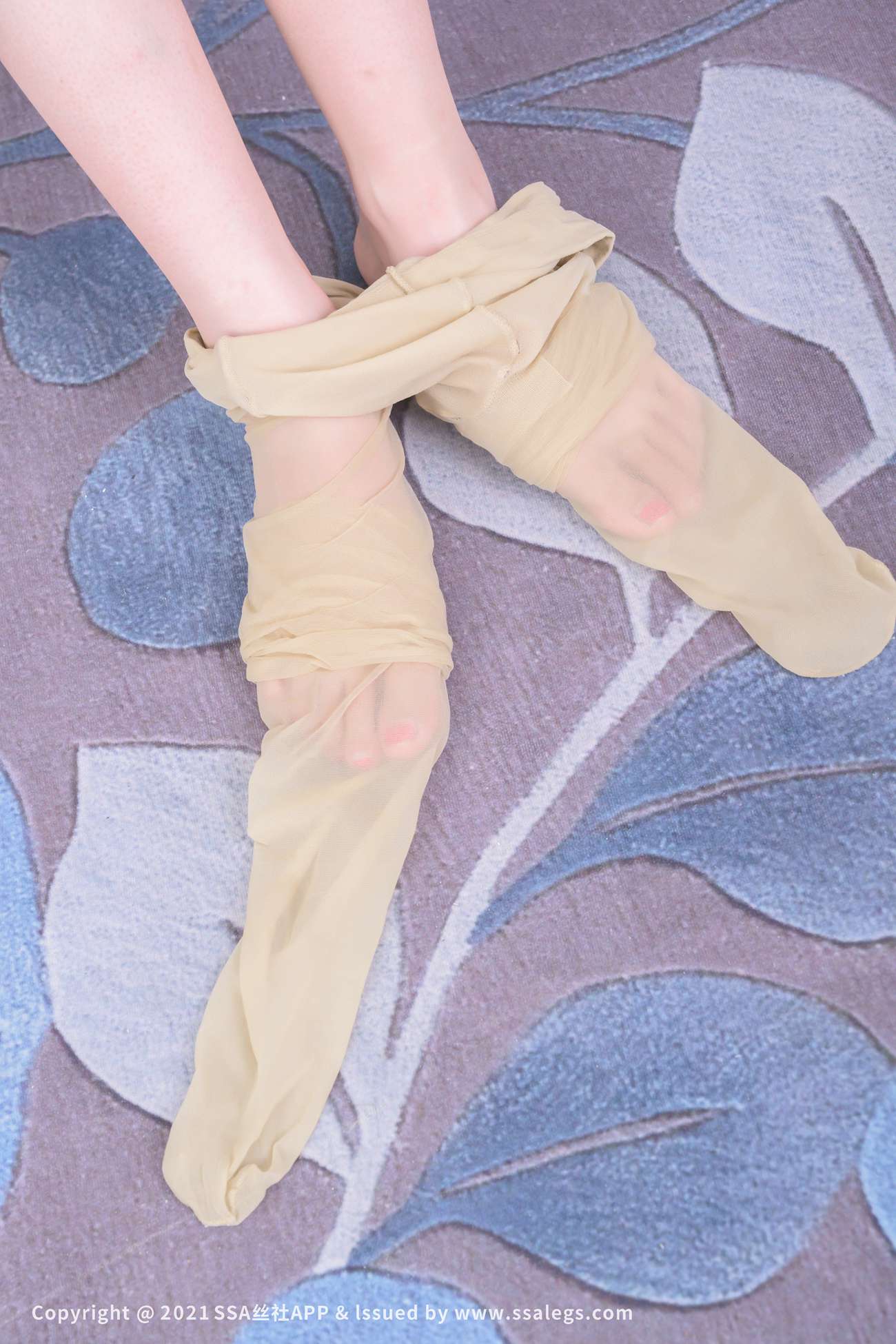 图片[136]-[SSA丝社]超清写真 NO.663 模特欣欣的肉丝袜（下）[143P] – 速更版-美库