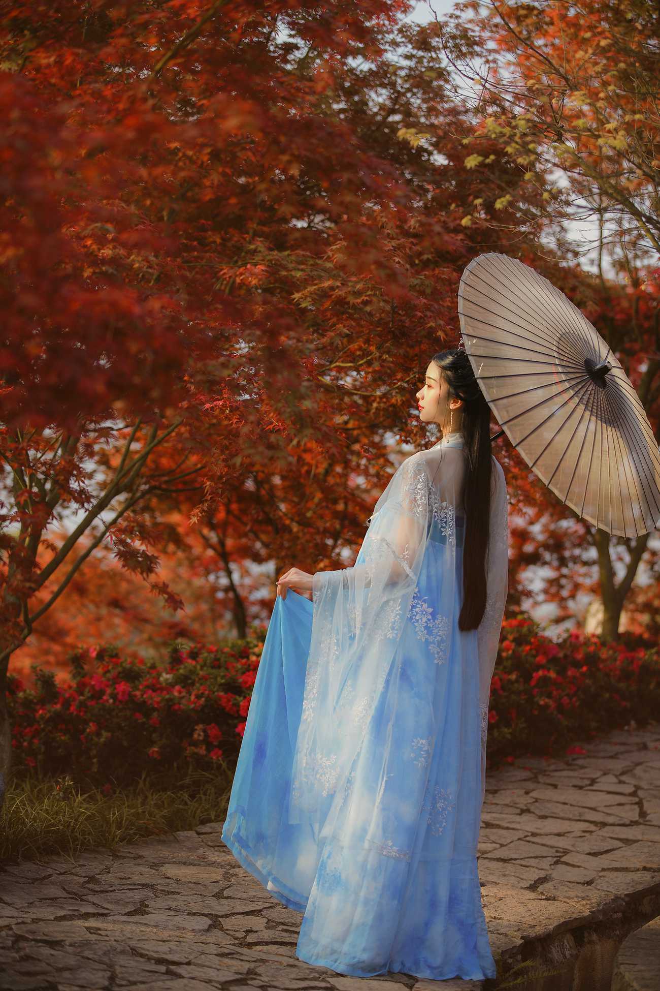 图片[15]-[YITUYU艺图语] 2021.08.23 秋枫萧瑟 吉祥祥 [25P] – 速更版-美库