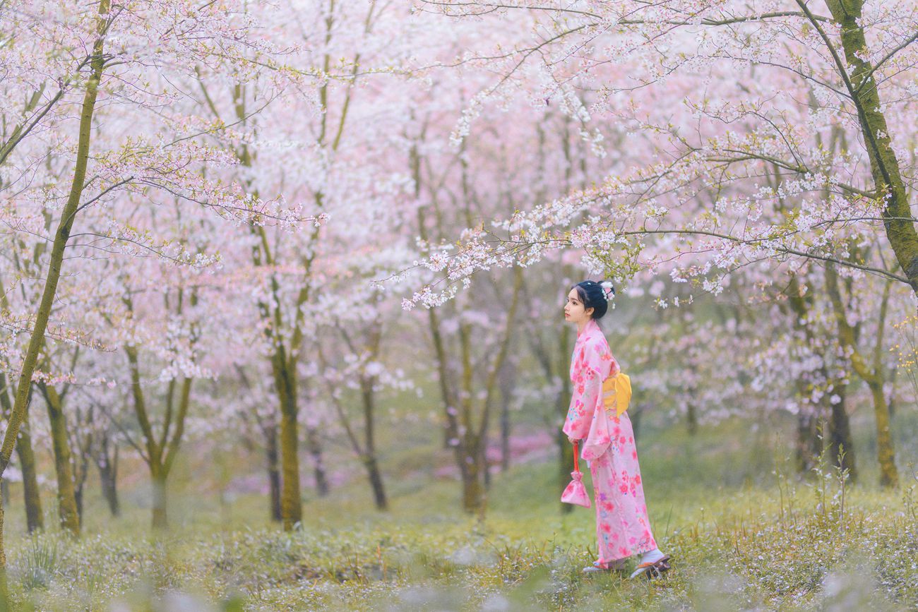 图片[13]-[YITUYU艺图语] 2021.08.27 樱の物语 猫夏小卡 [34P] – 速更版-美库