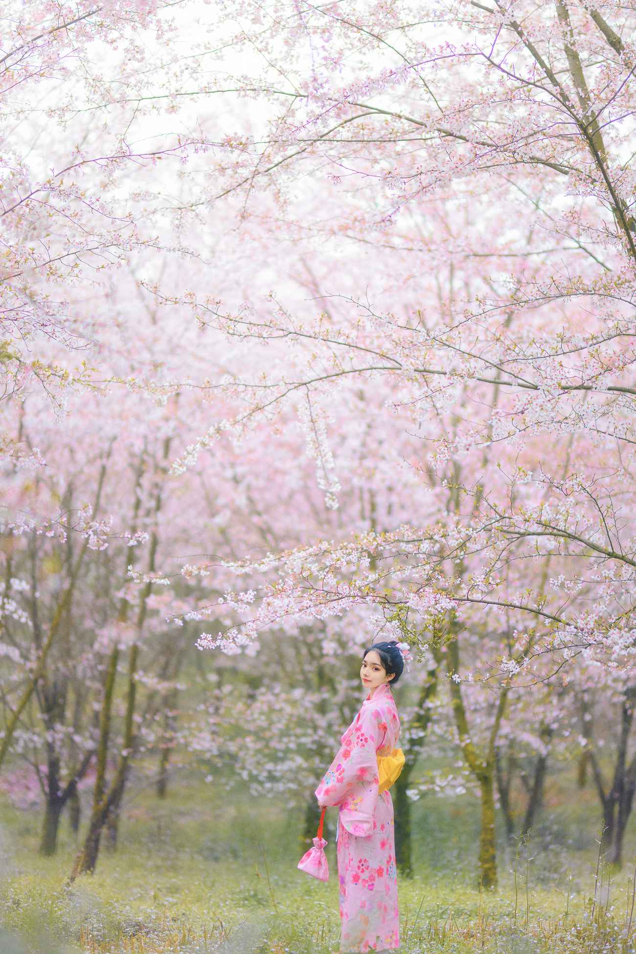 图片[14]-[YITUYU艺图语] 2021.08.27 樱の物语 猫夏小卡 [34P] – 速更版-美库