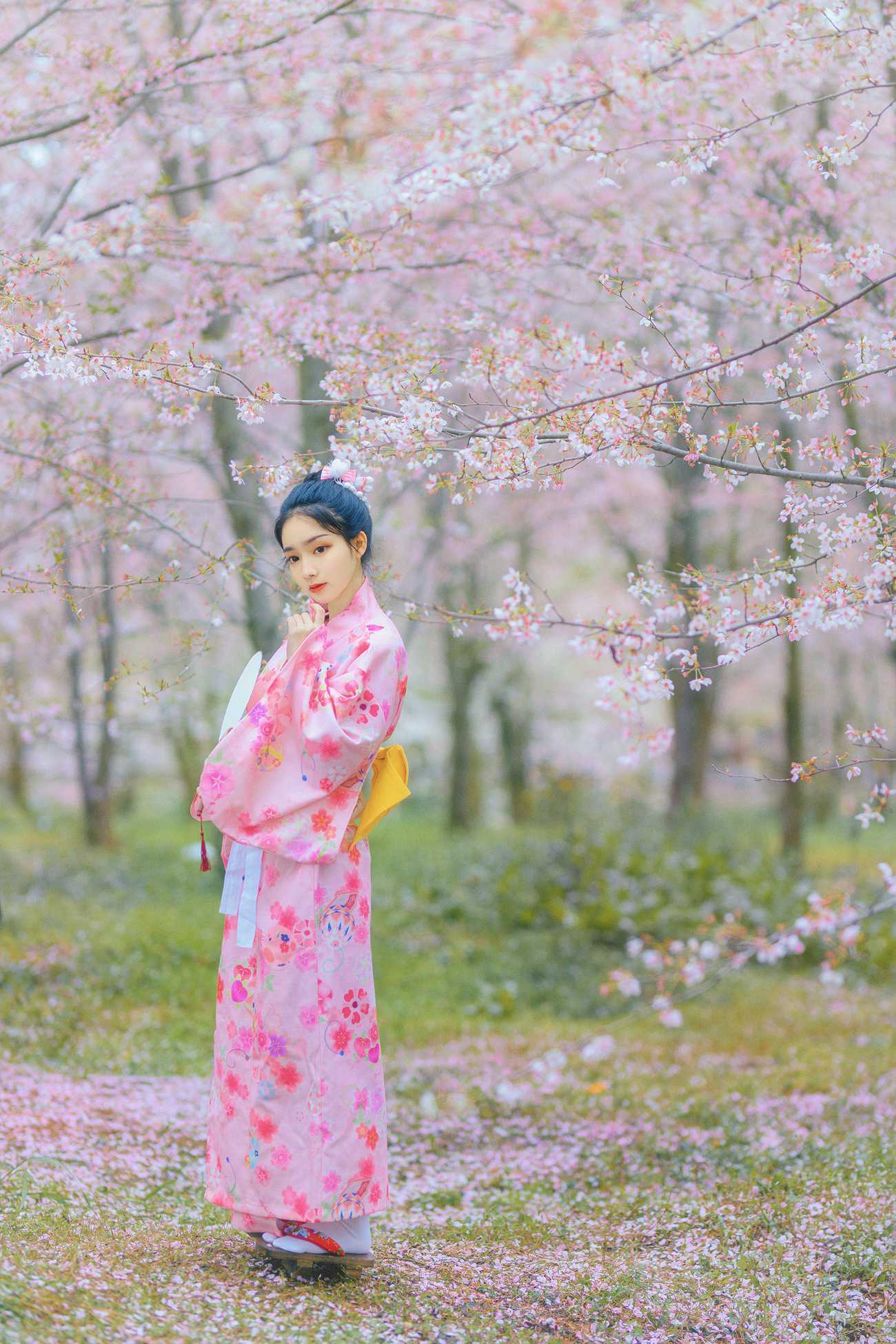 图片[19]-[YITUYU艺图语] 2021.08.27 樱の物语 猫夏小卡 [34P] – 速更版-美库