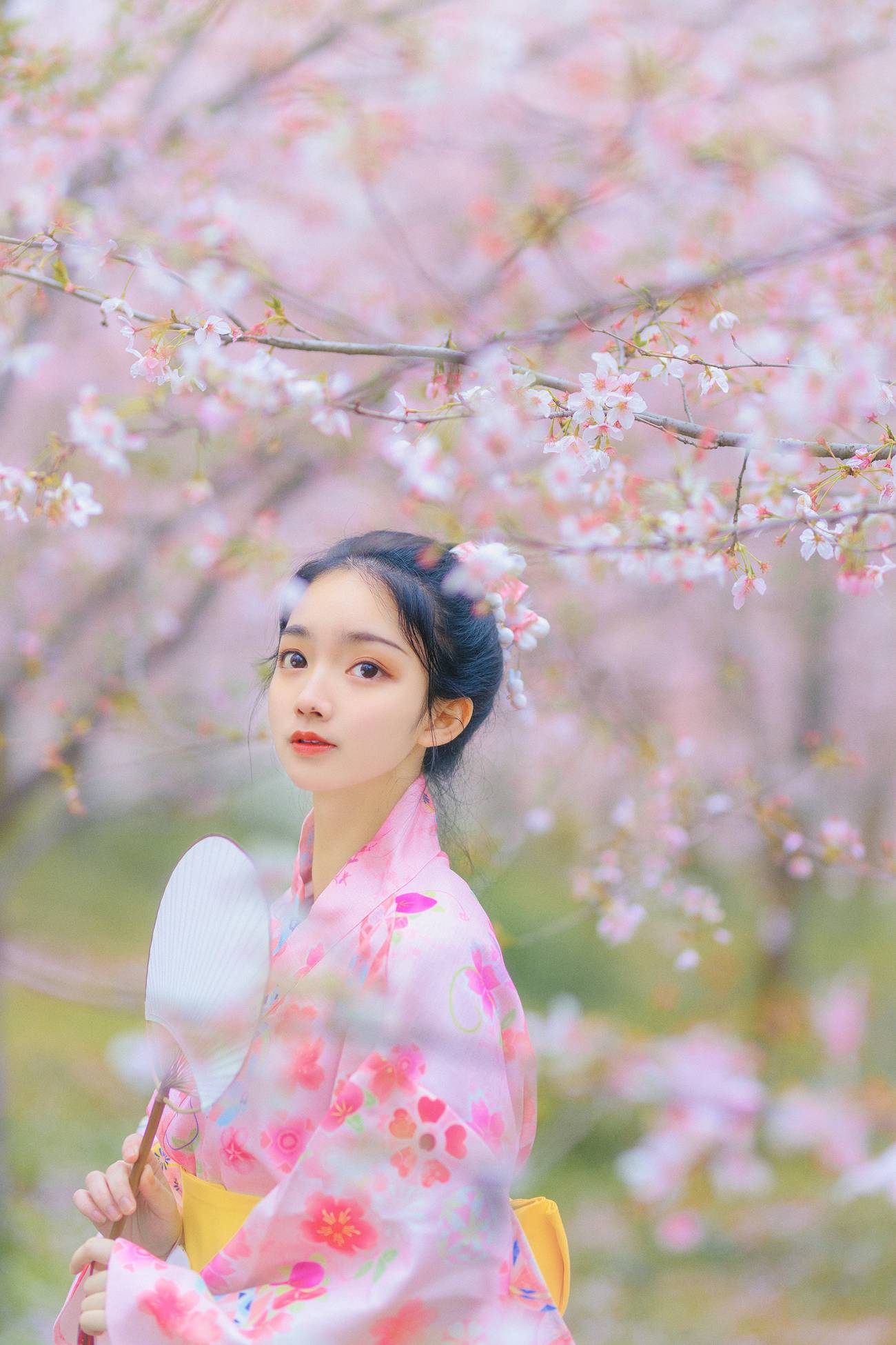 图片[21]-[YITUYU艺图语] 2021.08.27 樱の物语 猫夏小卡 [34P] – 速更版-美库