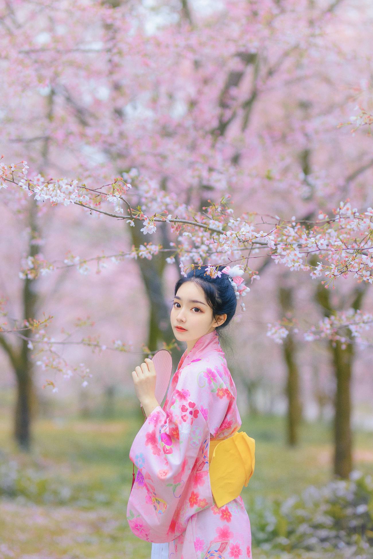 图片[24]-[YITUYU艺图语] 2021.08.27 樱の物语 猫夏小卡 [34P] – 速更版-美库