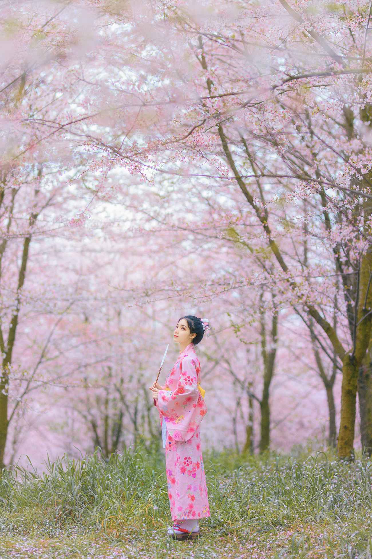 图片[31]-[YITUYU艺图语] 2021.08.27 樱の物语 猫夏小卡 [34P] – 速更版-美库