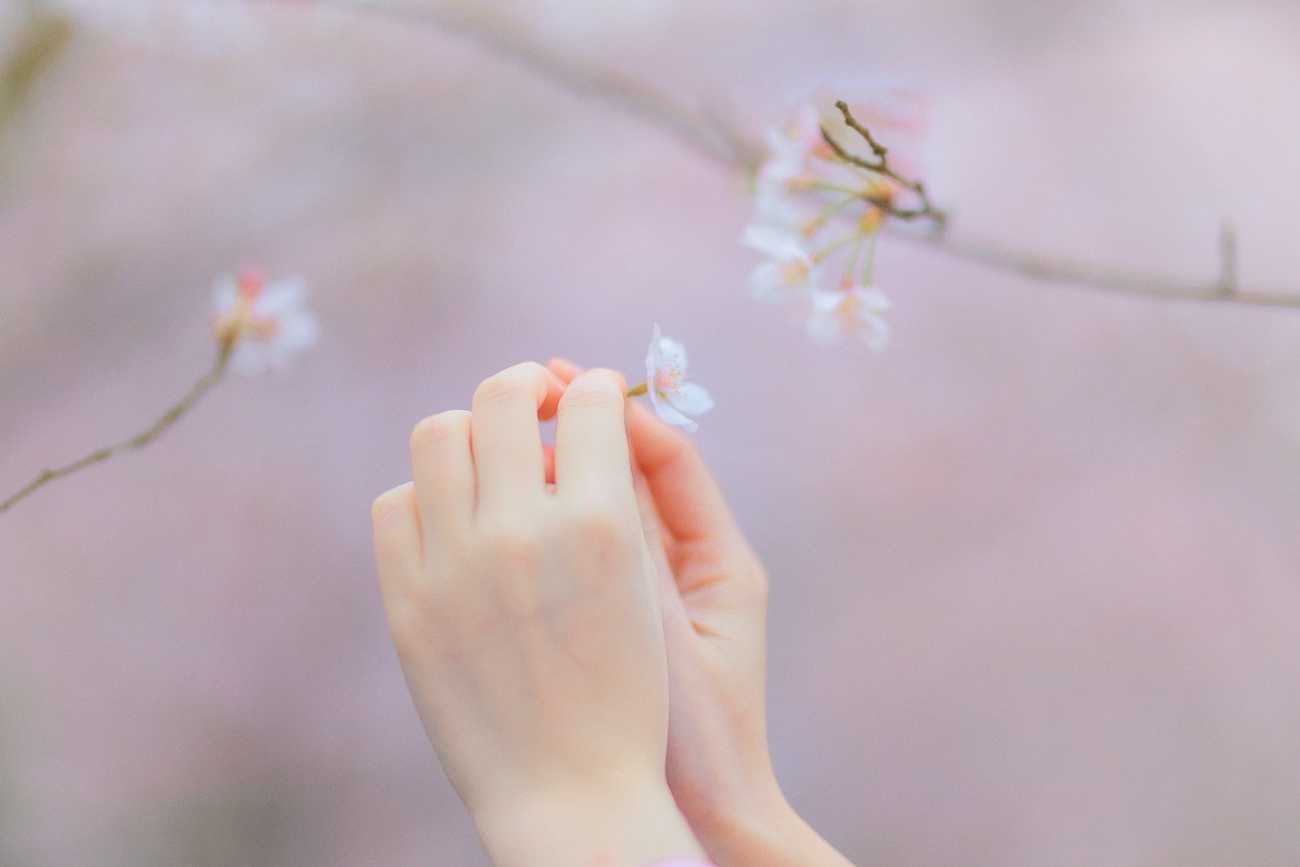 图片[35]-[YITUYU艺图语] 2021.08.27 樱の物语 猫夏小卡 [34P] – 速更版-美库