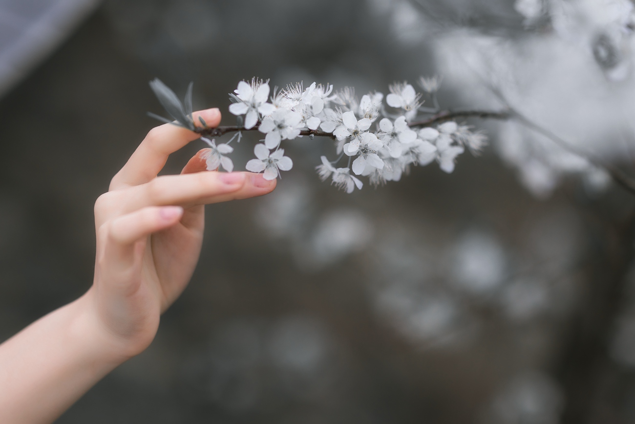 图片[17]-[YITUYU艺图语] 2021.08.28 杏花弦外雨 赵瑞洁_ez [24P] – 速更版-美库