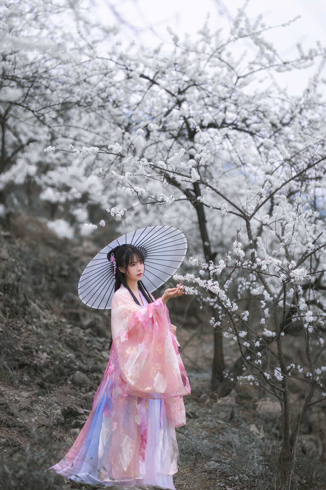 图片[20]-[YITUYU艺图语] 2021.08.28 杏花弦外雨 赵瑞洁_ez [24P] – 速更版-美库