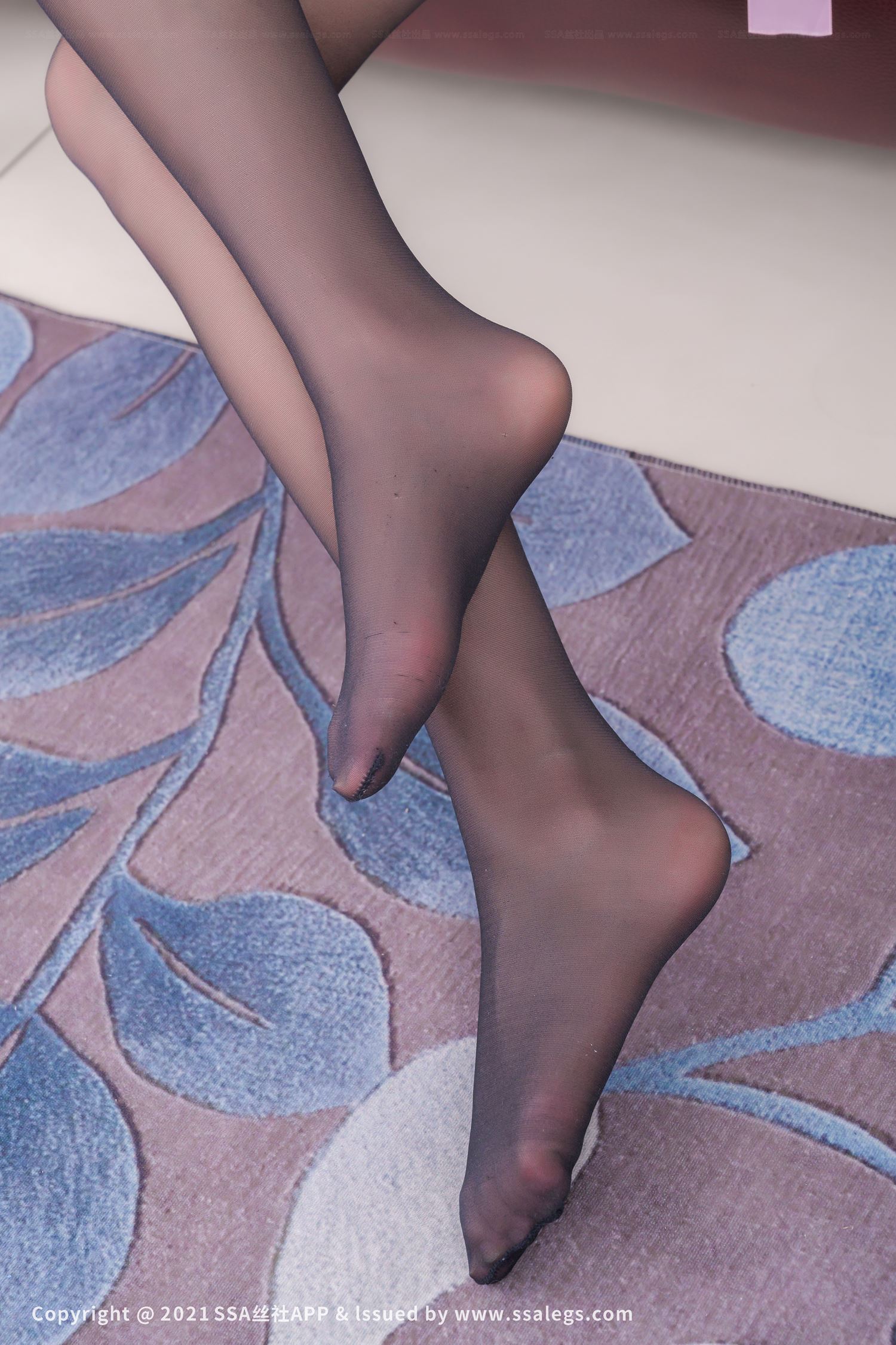 图片[32]-[SSA丝社]超清写真 NO.669 腿模素素的黑丝袜（下）[126P] – 速更版-美库