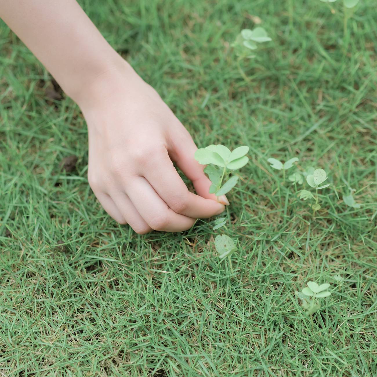 图片[19]-[YITUYU艺图语] 2021.09.01 夏日雨后 三重子 [32P] – 速更版-美库