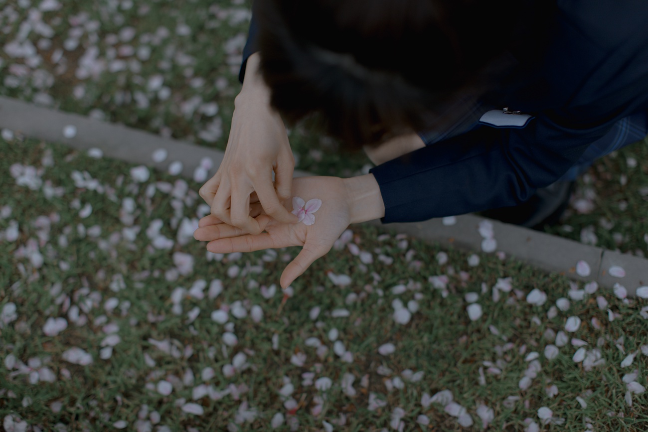 图片[24]-[YITUYU艺图语] 2021.09.02 樱花渐落 汤兮兮 [42P] – 速更版-美库