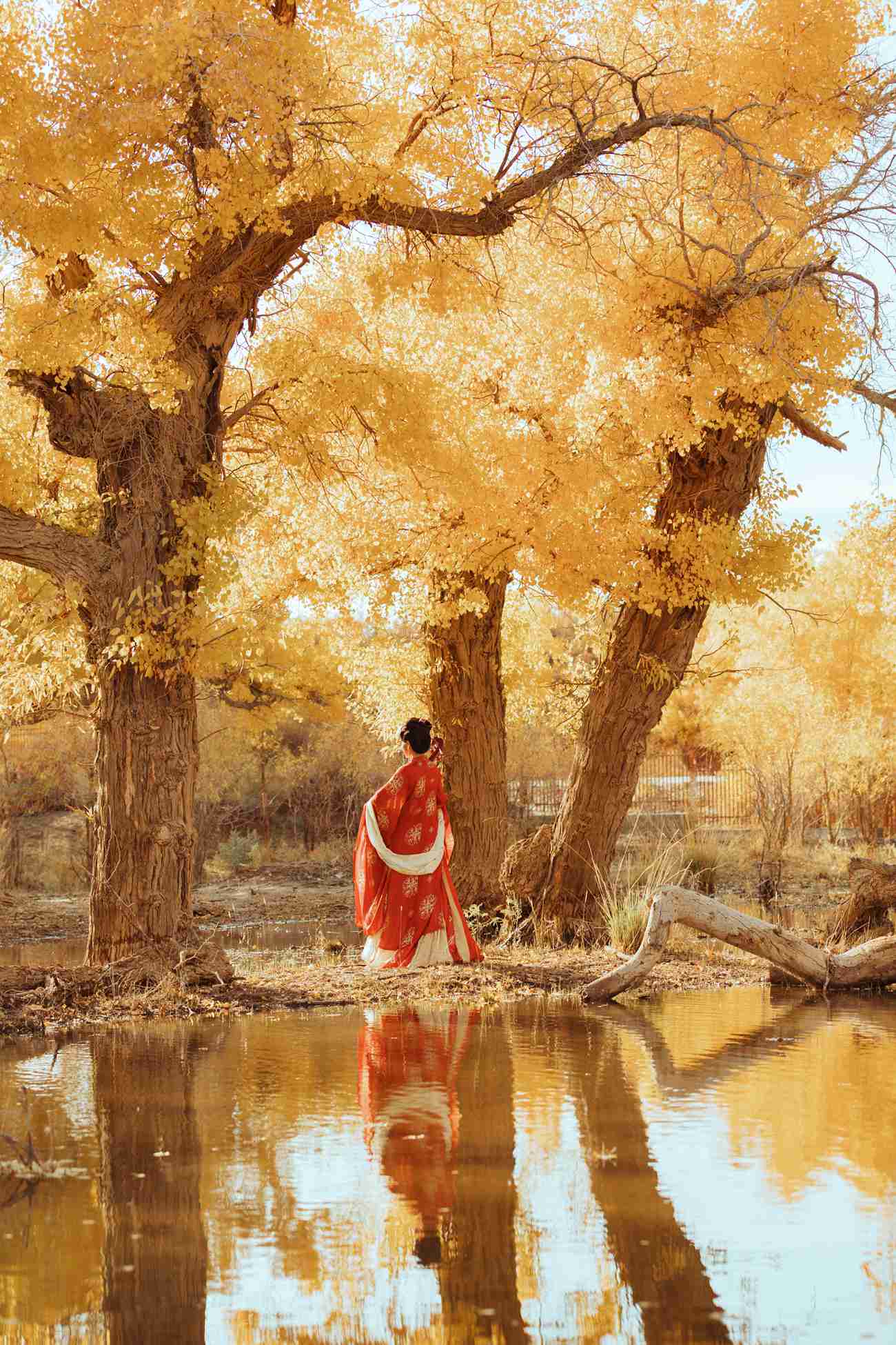 图片[33]-[YITUYU艺图语] 2021.09.03 岁月不败美人 知秋 [39P] – 速更版-美库