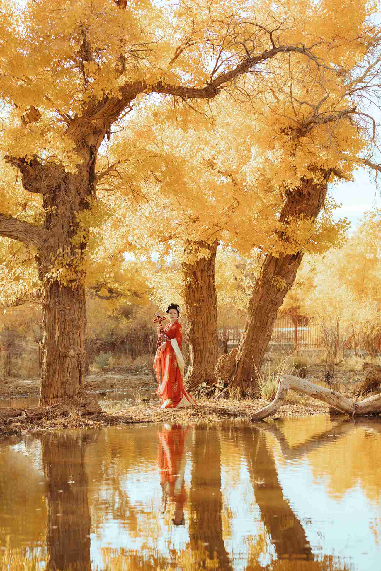 图片[34]-[YITUYU艺图语] 2021.09.03 岁月不败美人 知秋 [39P] – 速更版-美库