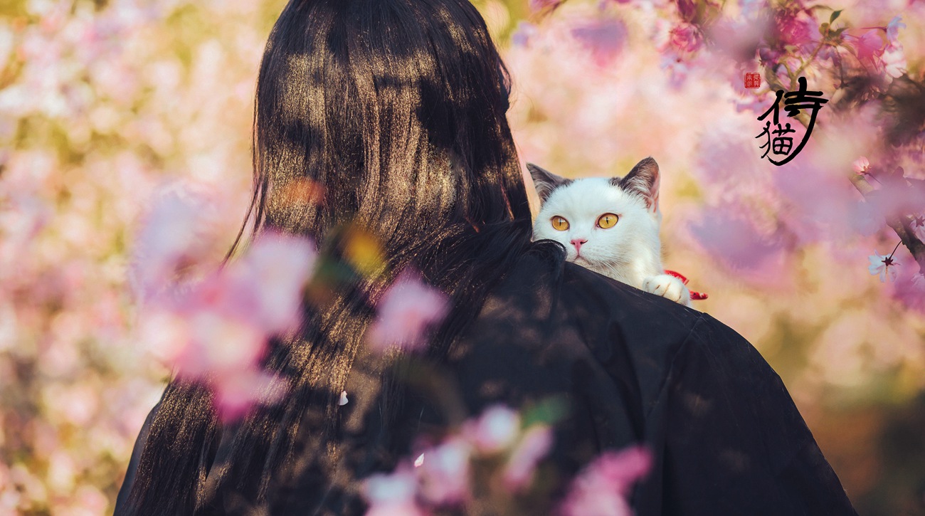 图片[10]-[YITUYU艺图语] 2021.09.04 猫侍 邱风 [31P] – 速更版-美库