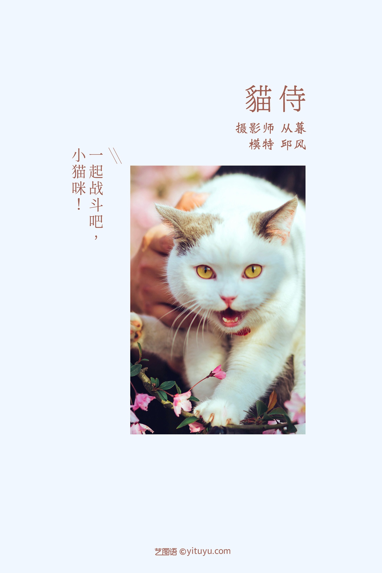 图片[31]-[YITUYU艺图语] 2021.09.04 猫侍 邱风 [31P] – 速更版-美库