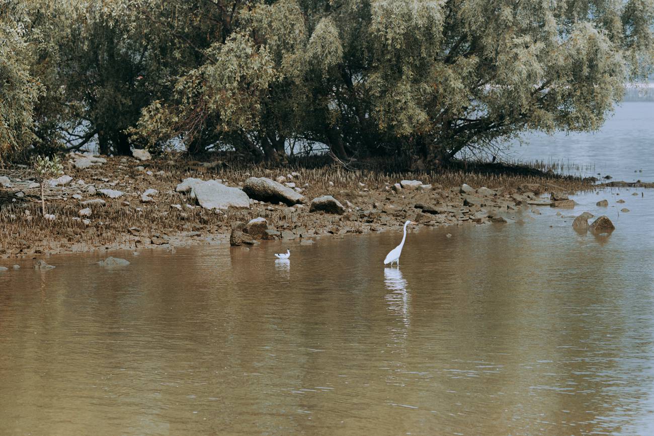 图片[19]-[YITUYU艺图语] 2021.09.04 遇芳记 苹果大人 [26P] – 速更版-美库