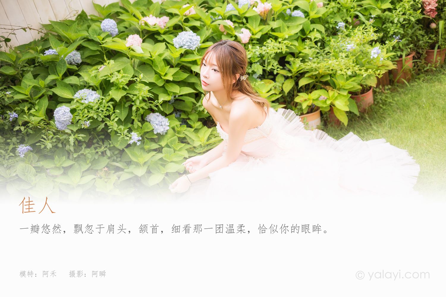 图片[45]-[YALAYI雅拉伊]2022.08.22 NO.966 佳人 阿禾[45+1P] – 速更版-美库