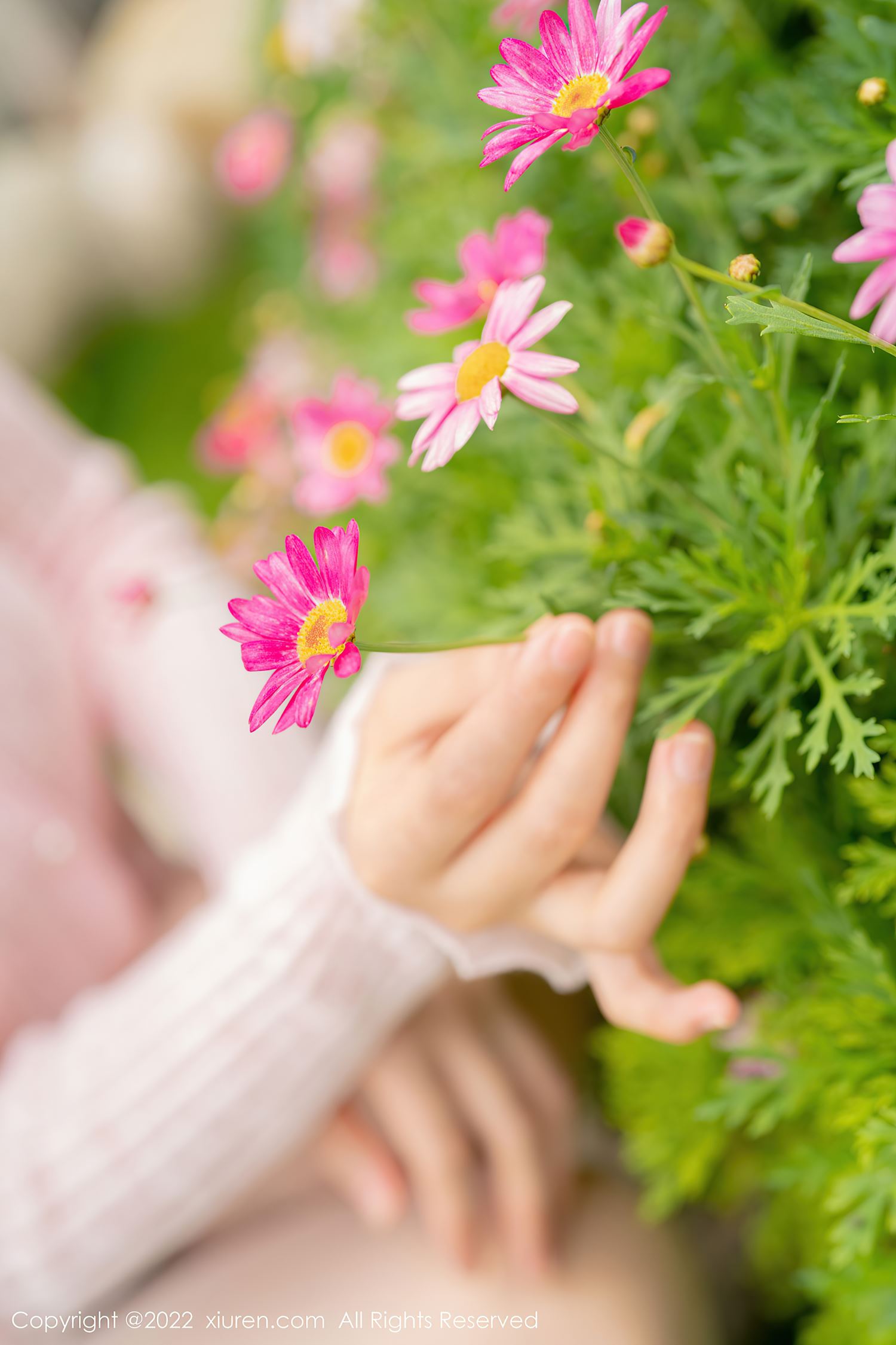 图片[12]-[Xiuren秀人网]2022.07.19 NO.5295 朱可儿Flora[39+1P] – 速更版-美库