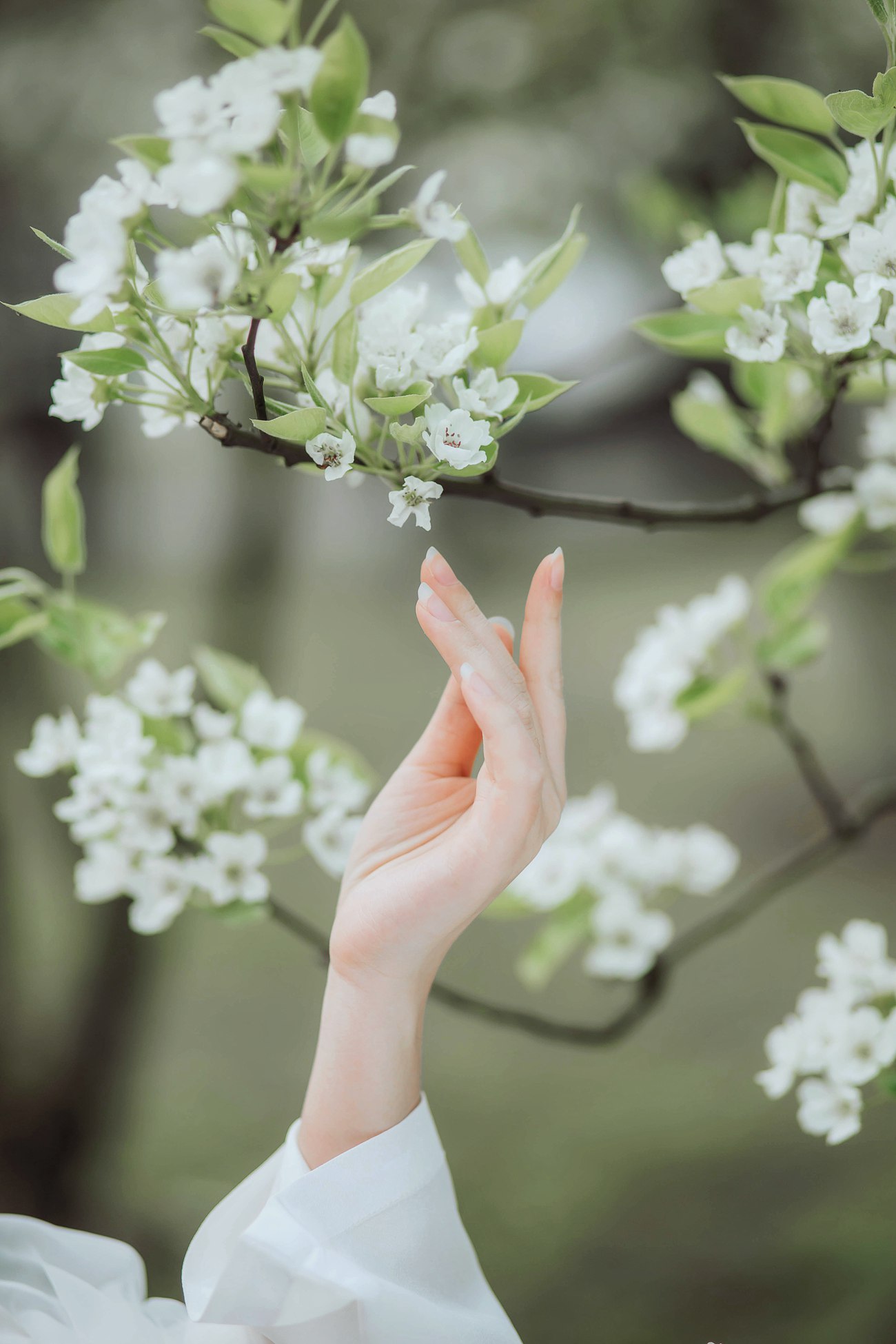 图片[15]-[YITUYU艺图语] 2021.09.09 无俗念 小温暖 [21P] – 速更版-美库