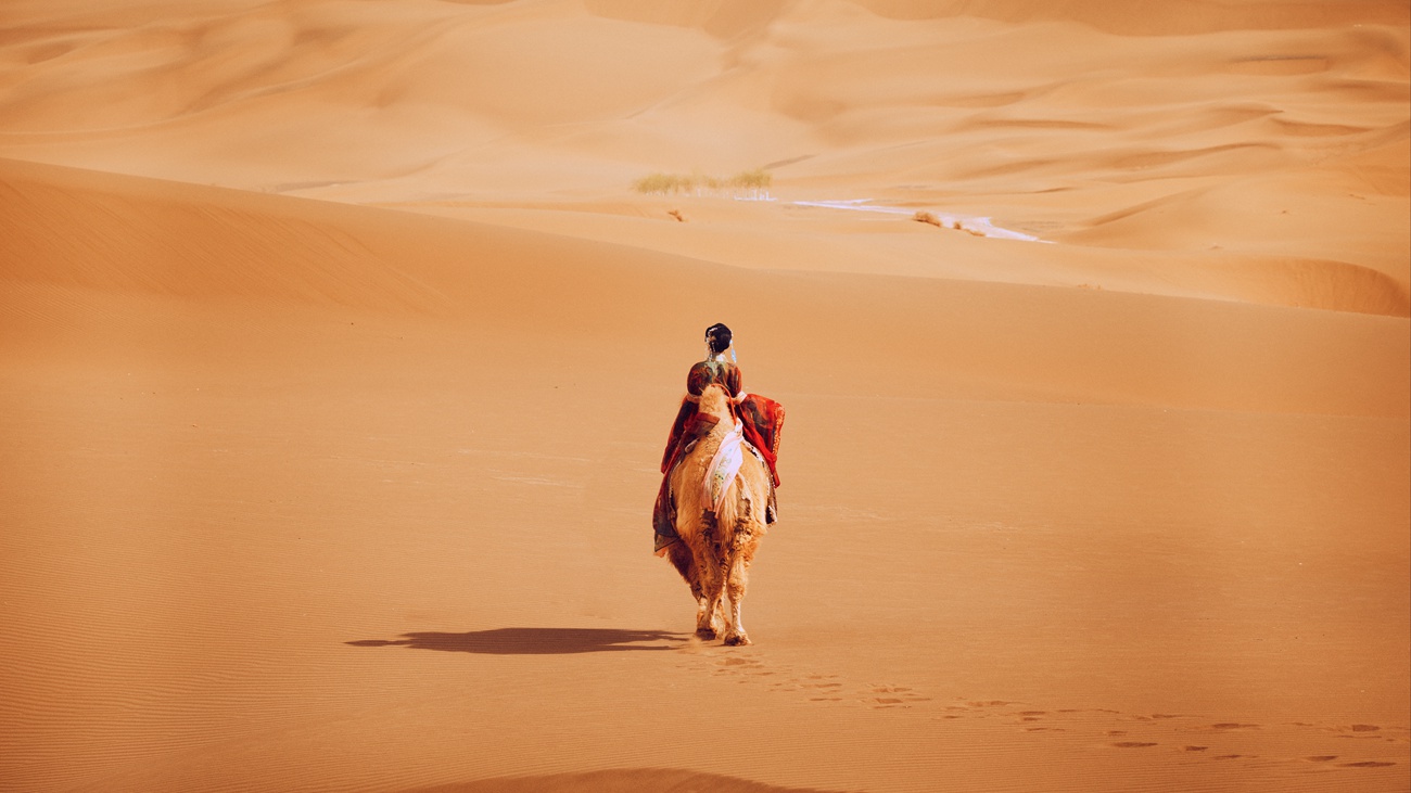 图片[27]-[YITUYU艺图语] 2021.09.10 大唐西域记 兔小白 [26P] – 速更版-美库