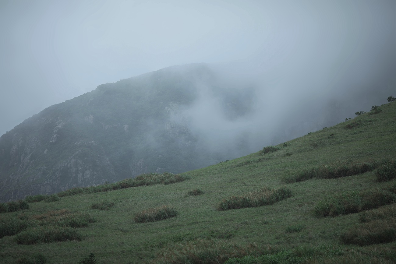 图片[14]-[YITUYU艺图语] 2021.09.16 有所思 五色石南叶 [29P] – 速更版-美库