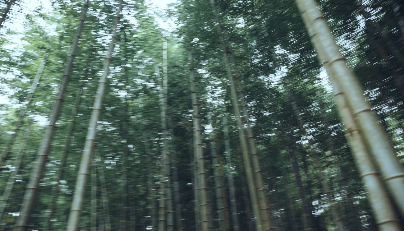 图片[11]-[YITUYU艺图语] 2021.09.18 绣春刀 庄翰 [31P] – 速更版-美库