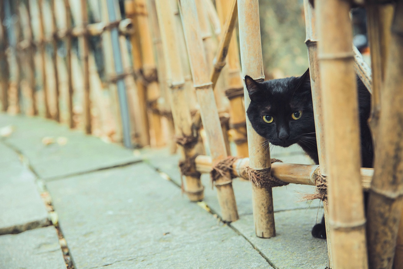 图片[18]-[YITUYU艺图语] 2021.09.18 绣春刀 庄翰 [31P] – 速更版-美库