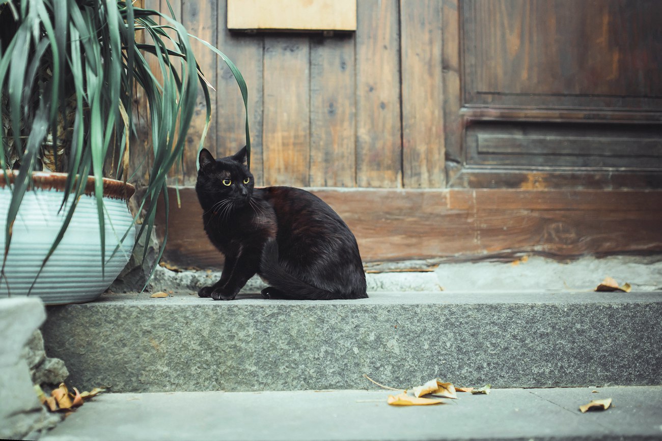 图片[23]-[YITUYU艺图语] 2021.09.18 绣春刀 庄翰 [31P] – 速更版-美库