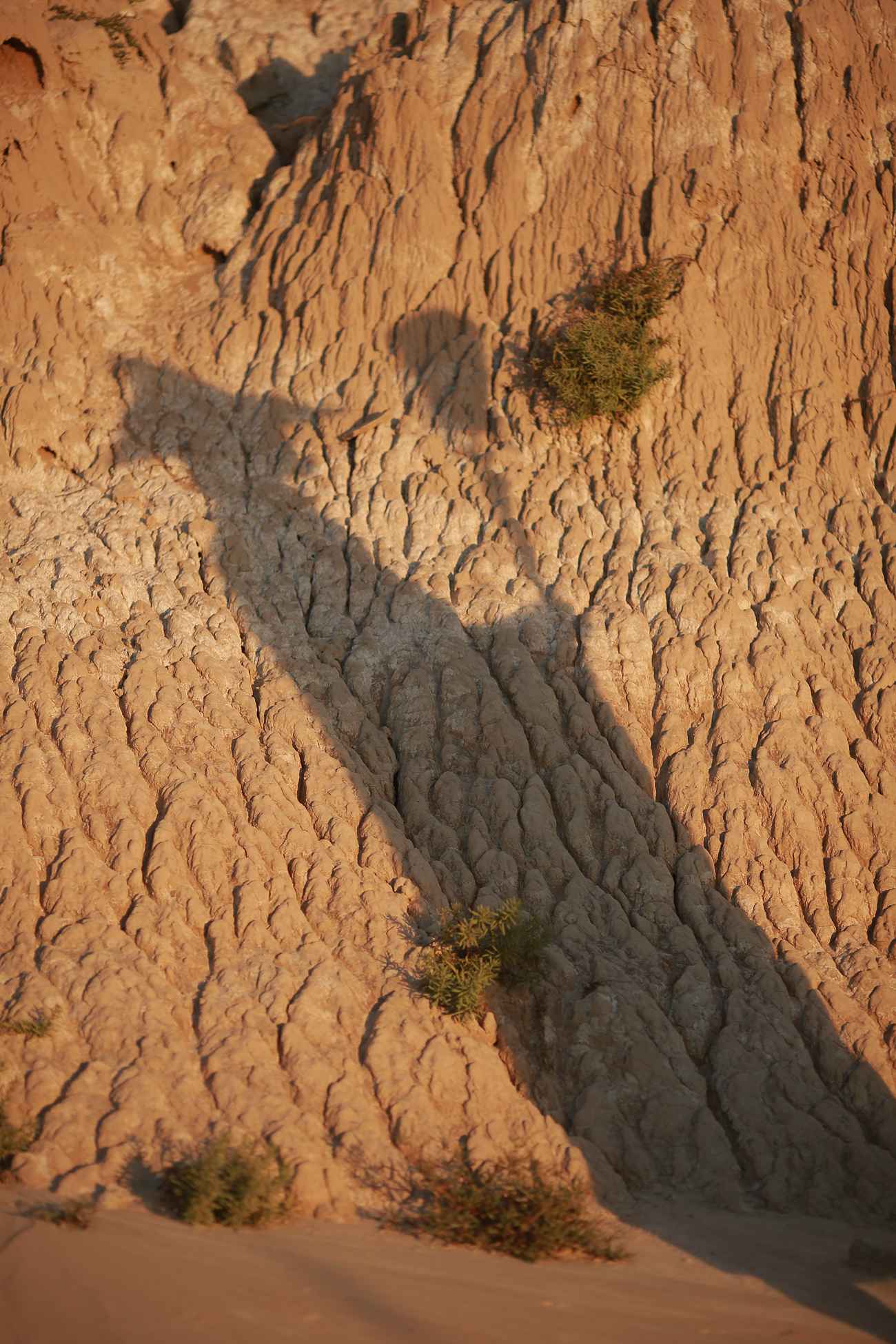 图片[13]-[YITUYU艺图语] 2021.09.22 行者 马崇道 [28P] – 速更版-美库