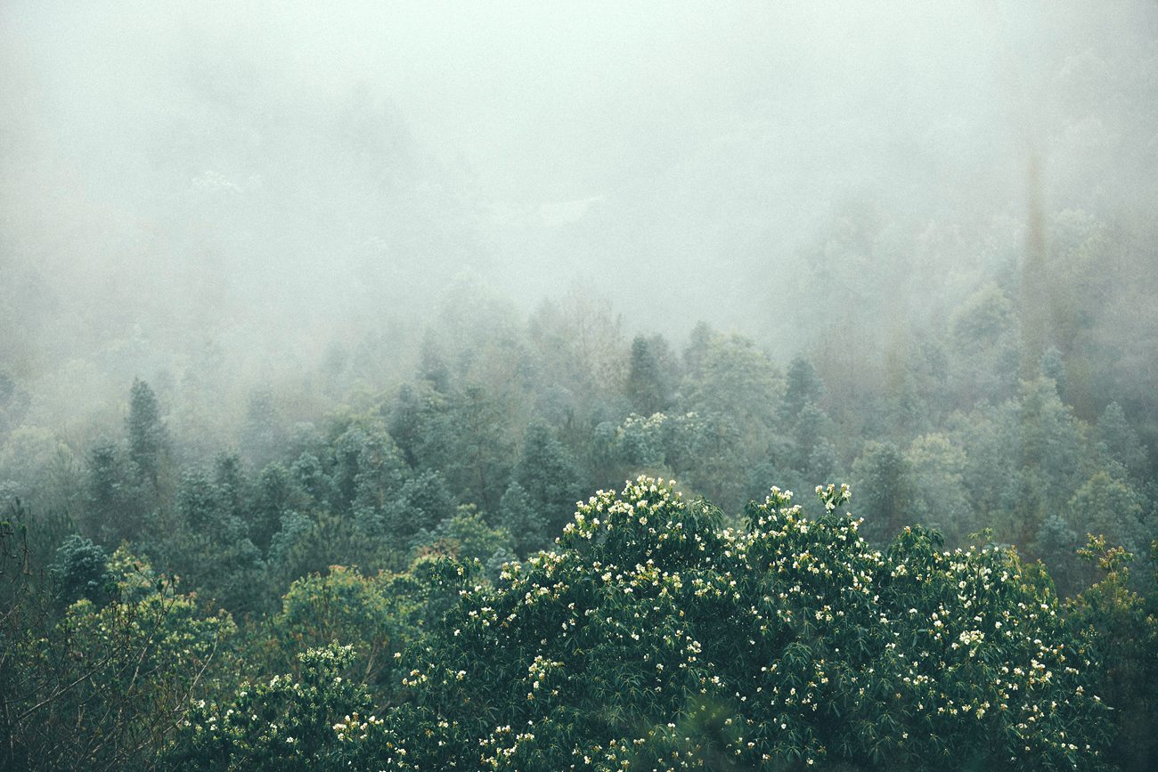 图片[10]-[YITUYU艺图语] 2021.09.24 白云中 马崇道 [24P] – 速更版-美库