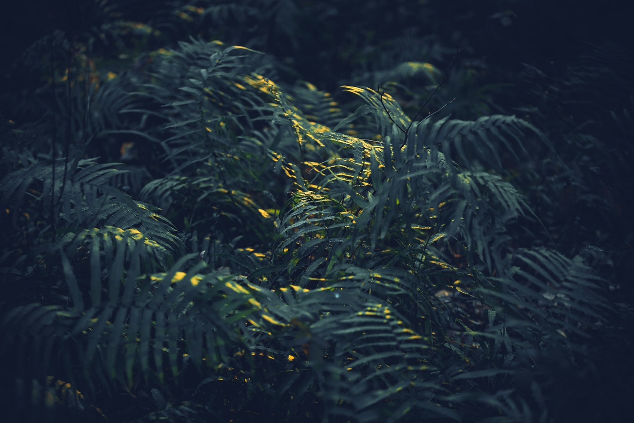 图片[15]-[YITUYU艺图语] 2021.09.28 最终兵器弓 大c [34P] – 速更版-美库