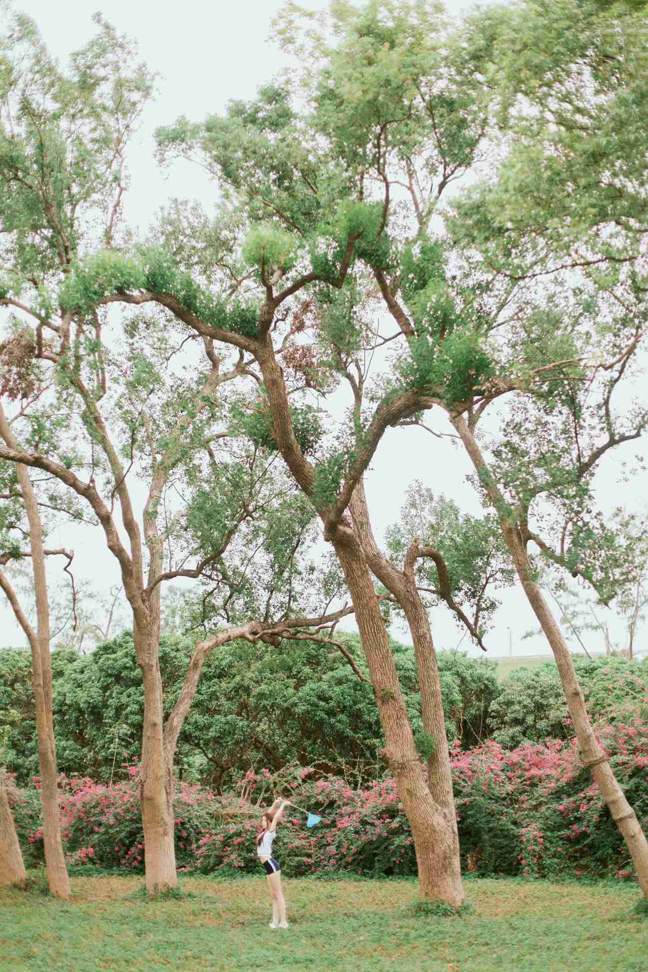 图片[14]-[YITUYU艺图语] 2021.09.29 花开的季节 航子 [40P] – 速更版-美库