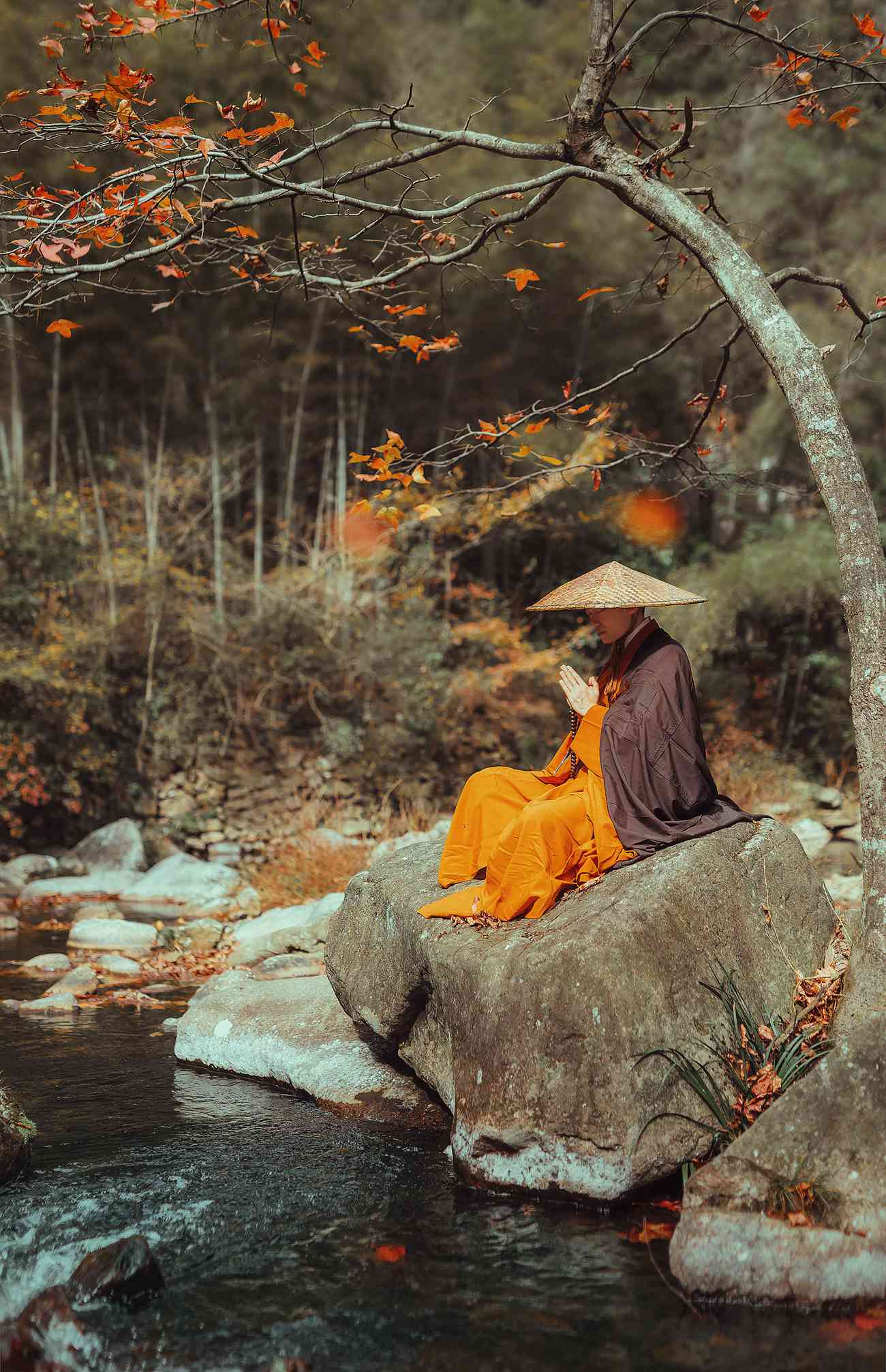 图片[14]-[YITUYU艺图语] 2021.09.29 天台行禅 五色石南叶 [32P] – 速更版-美库