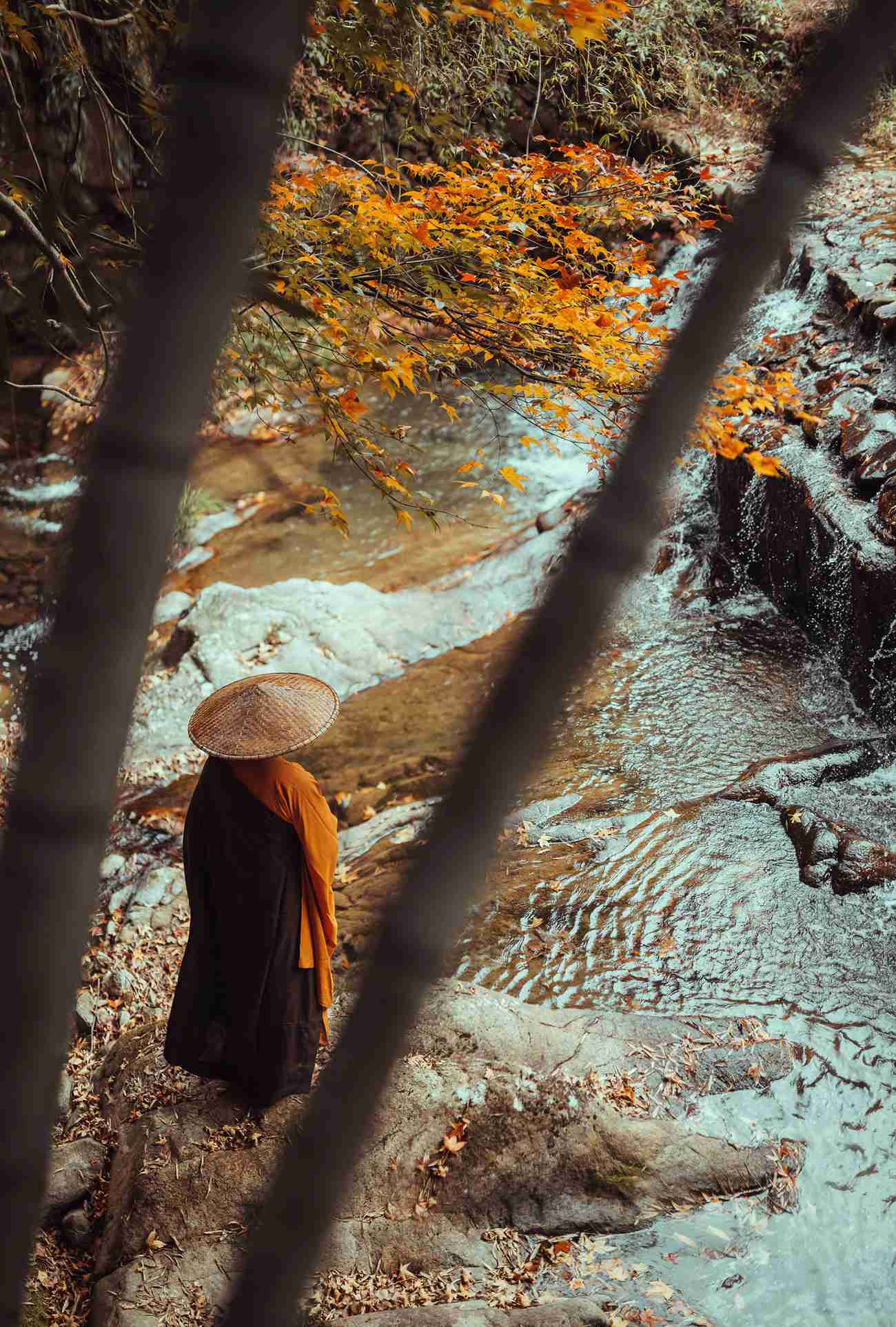 图片[18]-[YITUYU艺图语] 2021.09.29 天台行禅 五色石南叶 [32P] – 速更版-美库