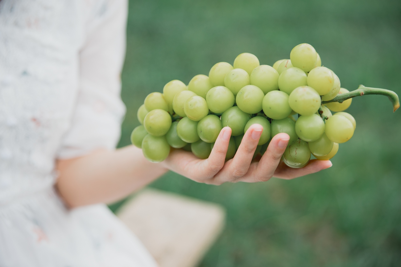 图片[10]-[YITUYU艺图语] 2021.09.29 阳光玫瑰 湘湘 [23P] – 速更版-美库