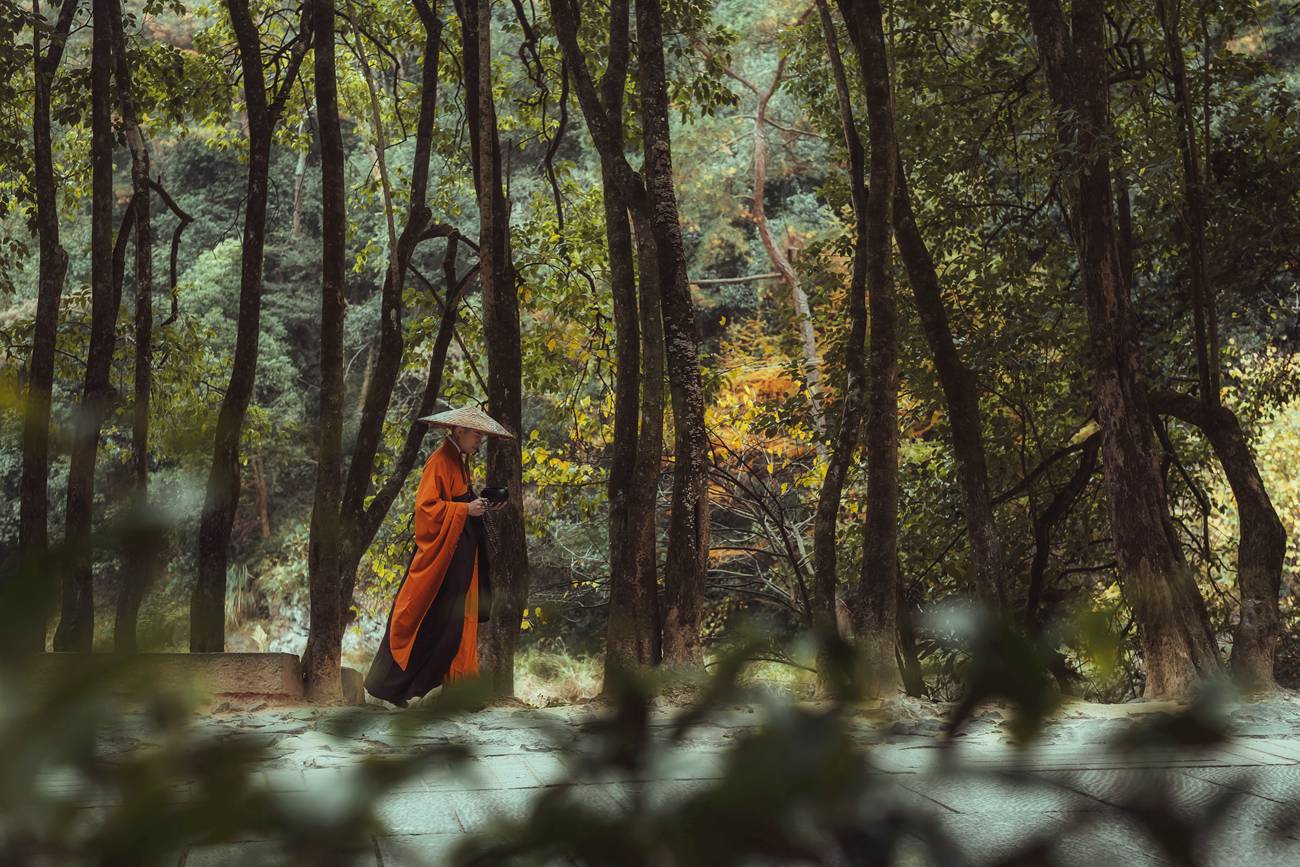 图片[30]-[YITUYU艺图语] 2021.09.29 天台行禅 五色石南叶 [32P] – 速更版-美库