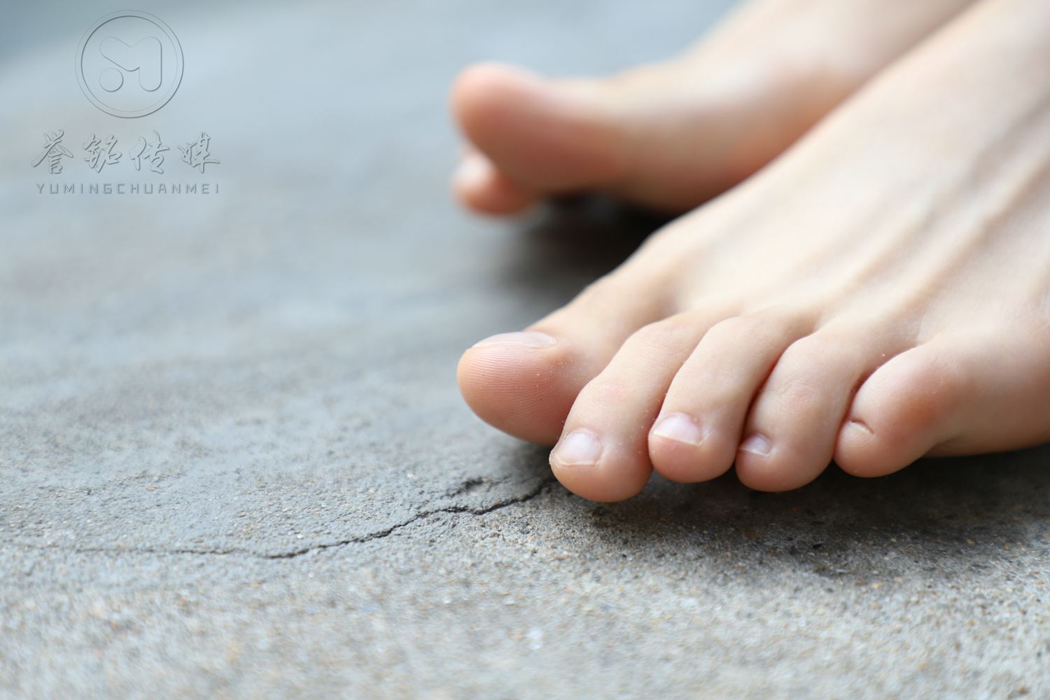 图片[108]-[誉铭传媒]袜足摄影 2019年 NO.009 肉丝裸足[121P] – 速更版-美库