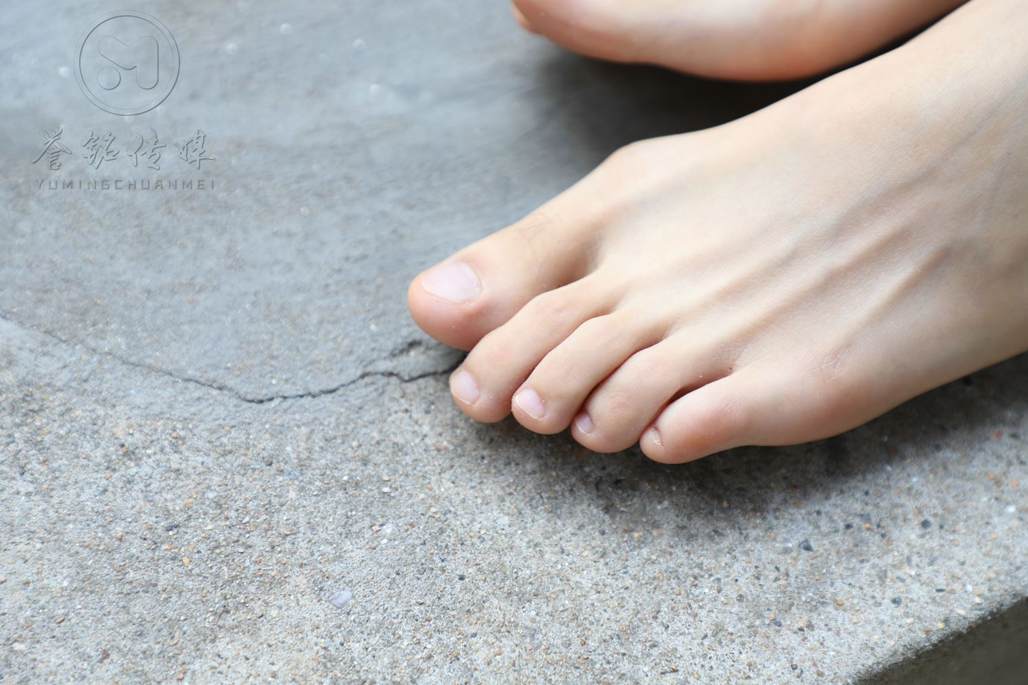 图片[109]-[誉铭传媒]袜足摄影 2019年 NO.009 肉丝裸足[121P] – 速更版-美库