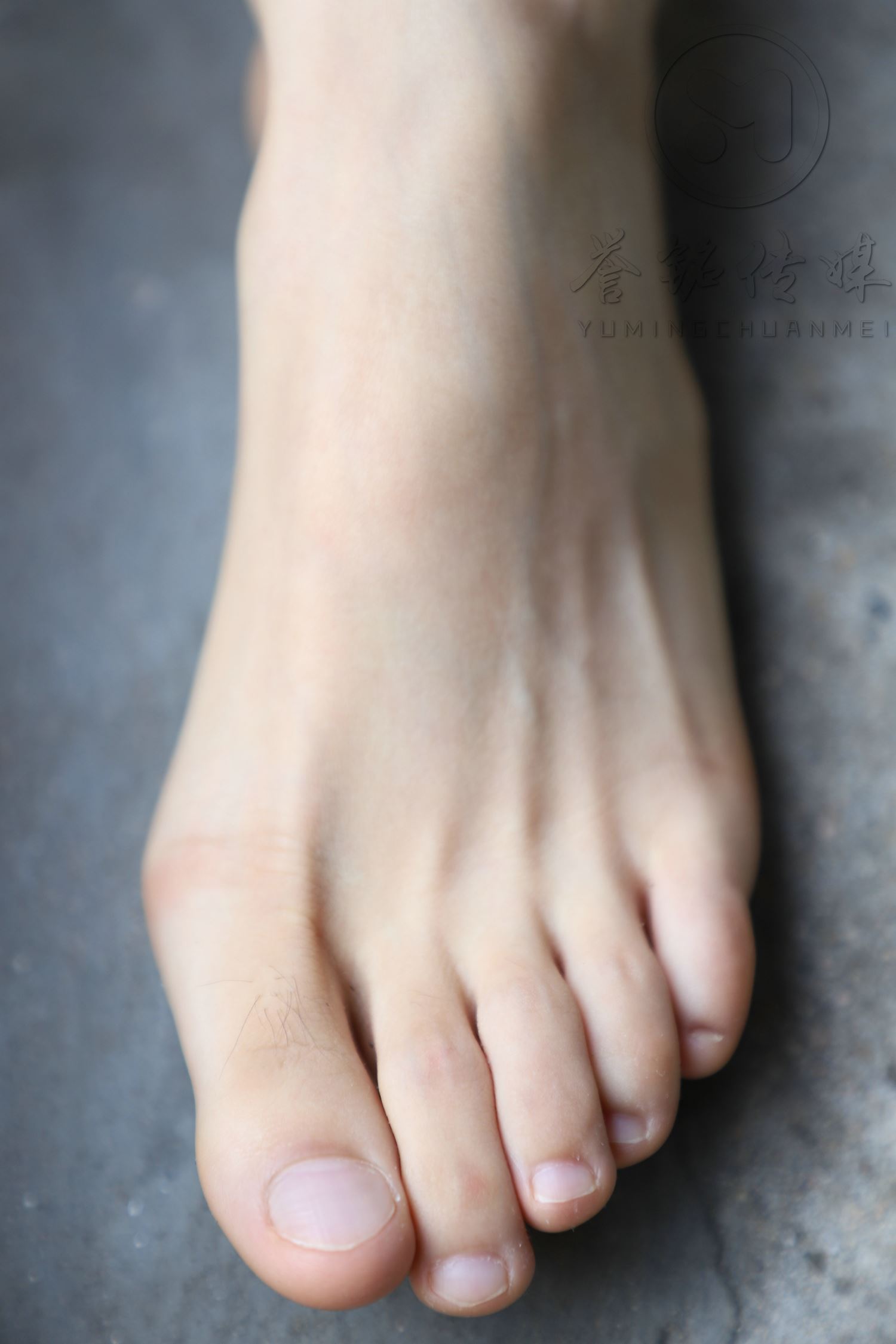 图片[111]-[誉铭传媒]袜足摄影 2019年 NO.009 肉丝裸足[121P] – 速更版-美库