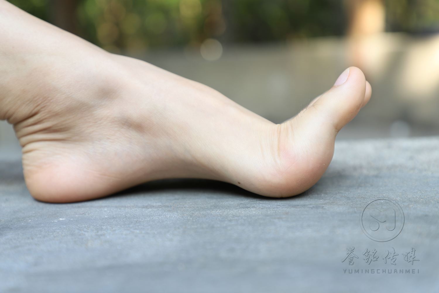 图片[113]-[誉铭传媒]袜足摄影 2019年 NO.009 肉丝裸足[121P] – 速更版-美库