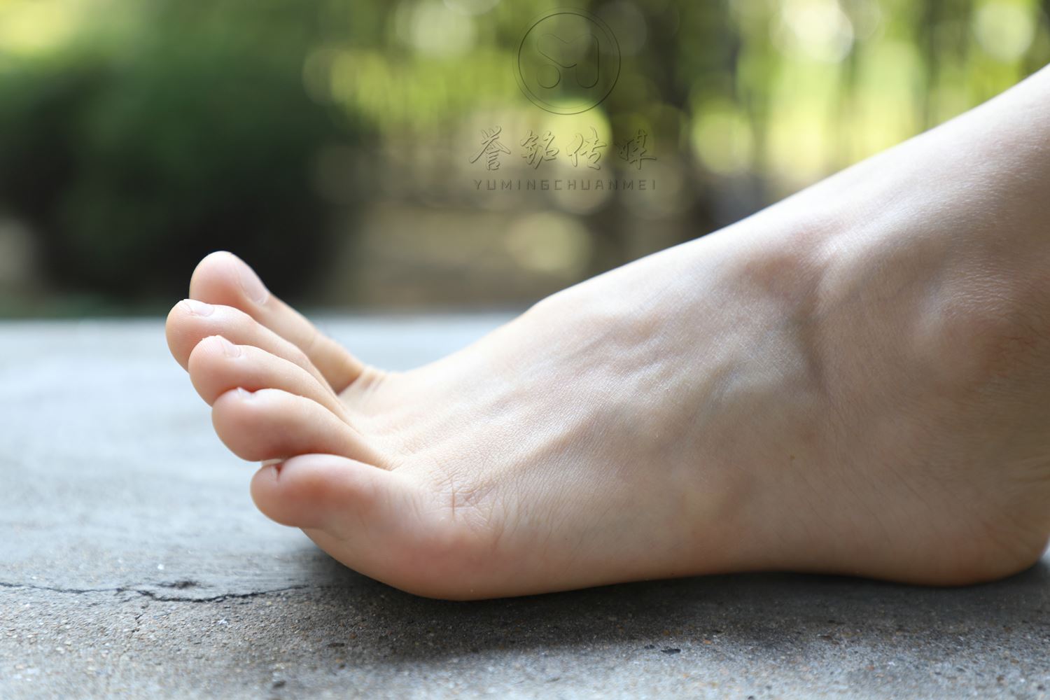 图片[112]-[誉铭传媒]袜足摄影 2019年 NO.009 肉丝裸足[121P] – 速更版-美库