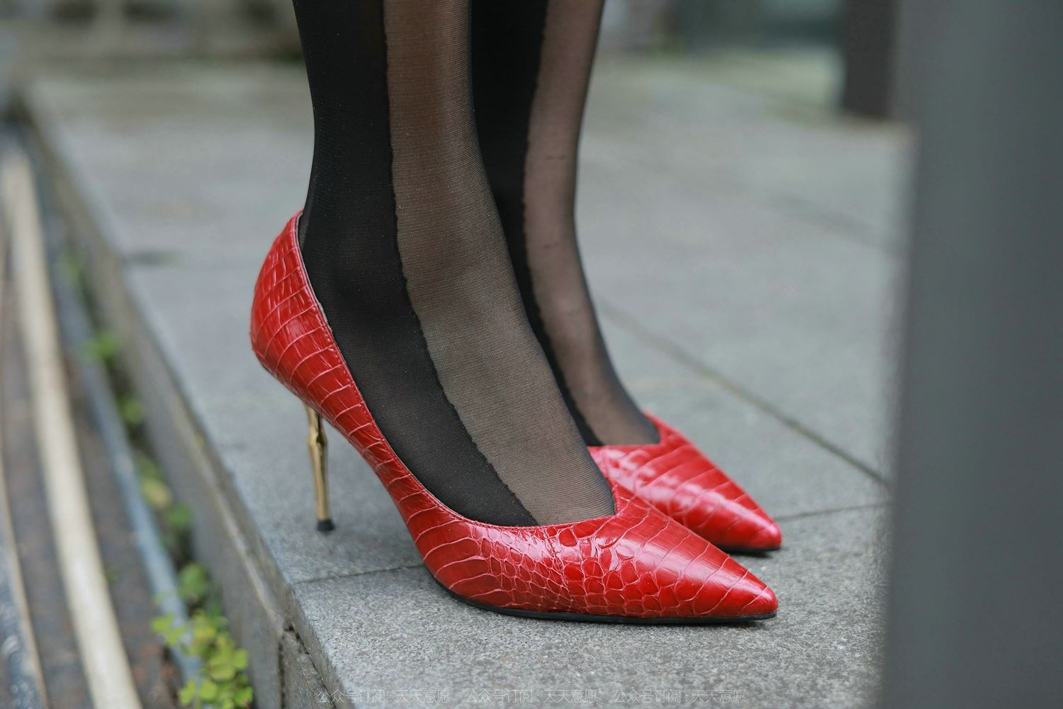 图片[41]-[IESS异思趣向] 2022.04.25 丝享家1070：小婕《红鞋职业装》[88P] – 速更版-美库