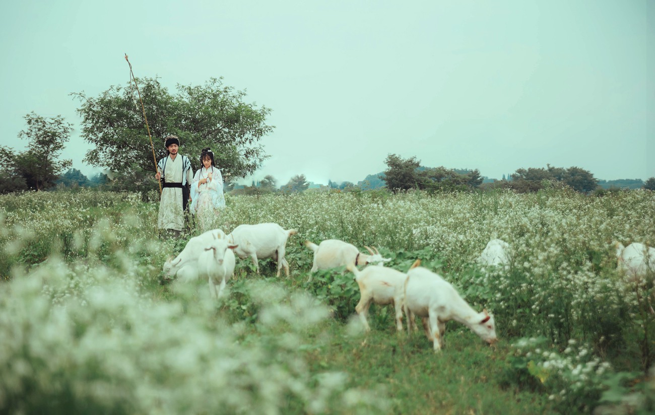 图片[12]-[YITUYU艺图语] 2021.10.07 塞上牛羊空许约 芳芳 [23P] – 速更版-美库