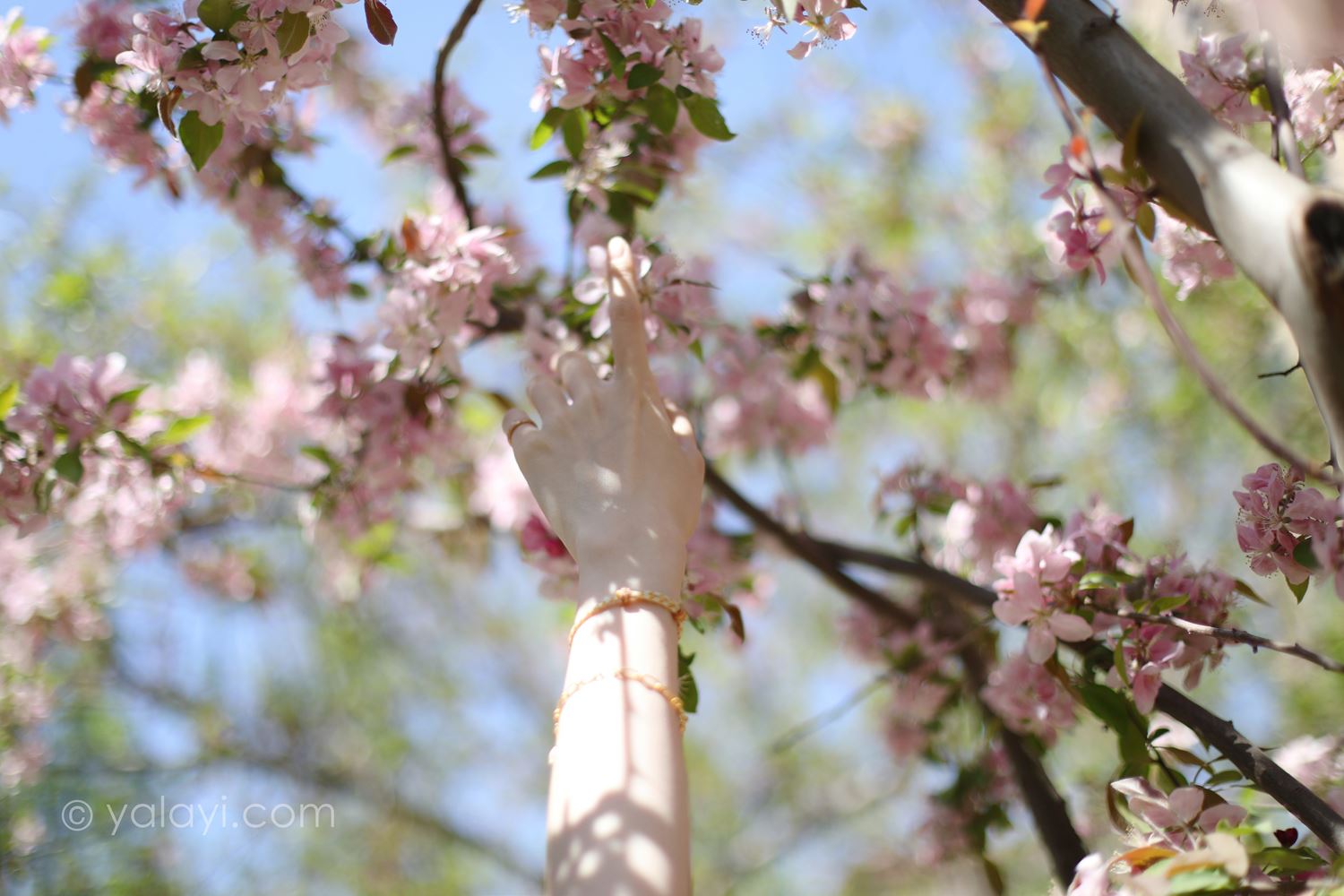 图片[29]-[YALAYI雅拉伊]2022.09.22 NO.975 光晕 京京[42+1P] – 速更版-美库