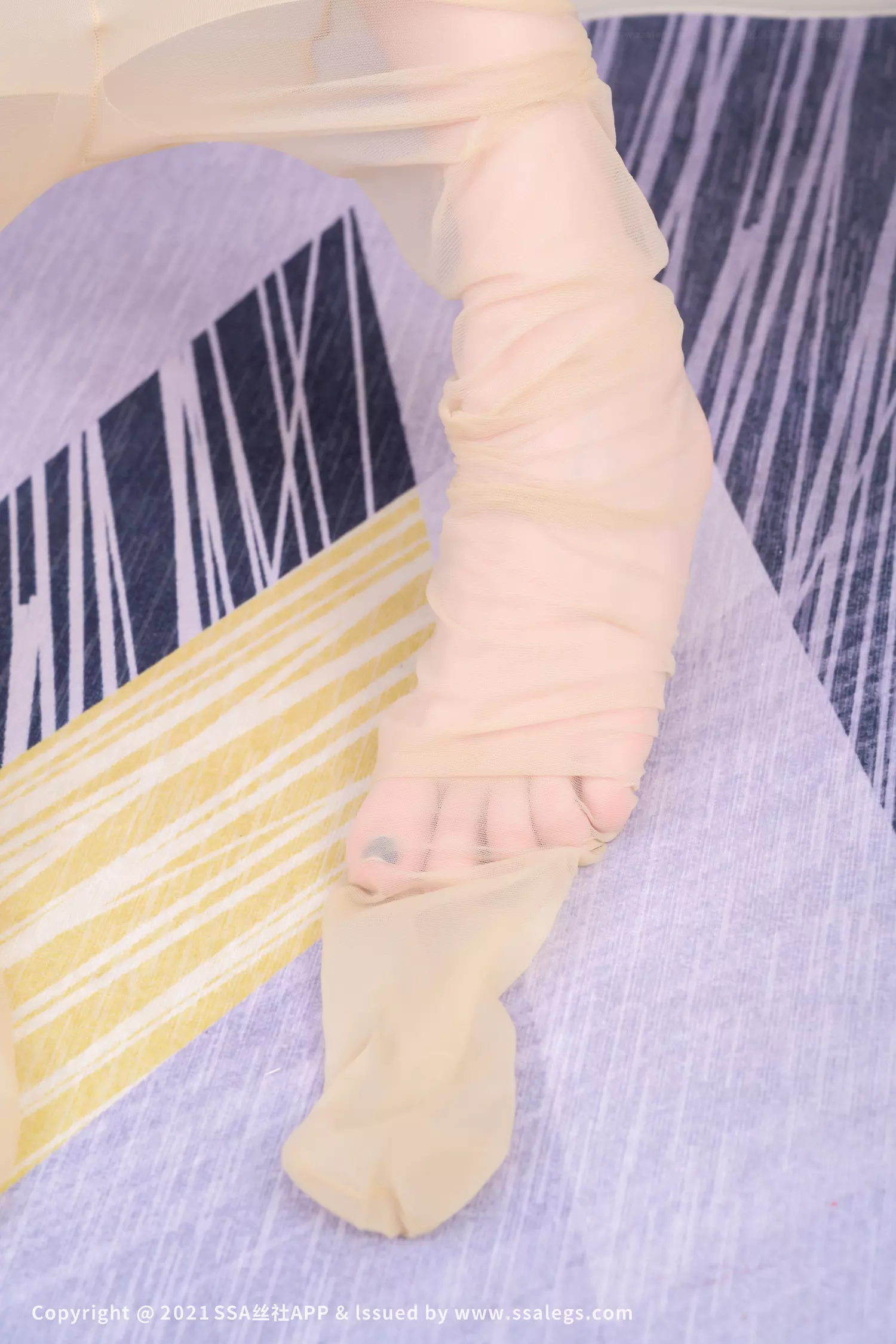 图片[116]-[SSA丝社]超清写真 NO.735 模特木子的肉丝袜玉足（下）[125P] – 速更版-美库