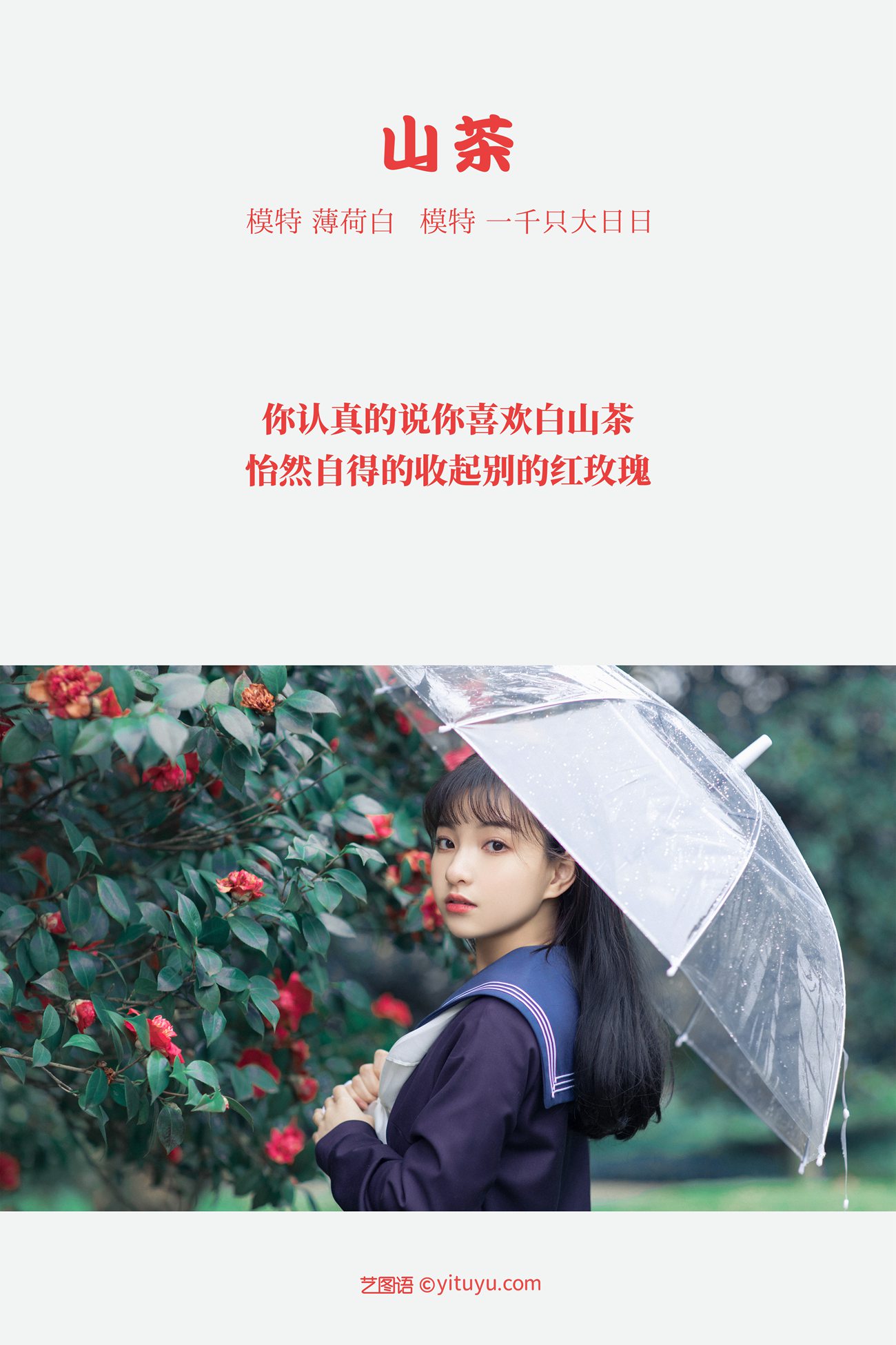 图片[18]-[YITUYU艺图语] 2021.10.19 山茶 一千只大日日 [18P] – 速更版-美库