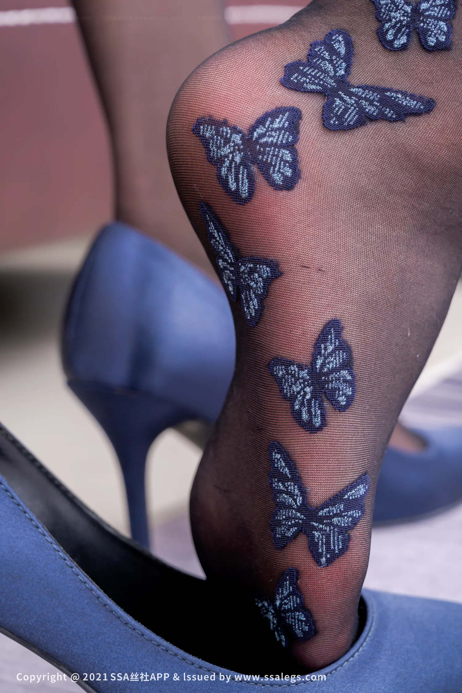 图片[81]-[SSA丝社]超清写真 NO.738 模特素素的进口黑丝袜（上）[119P] – 速更版-美库