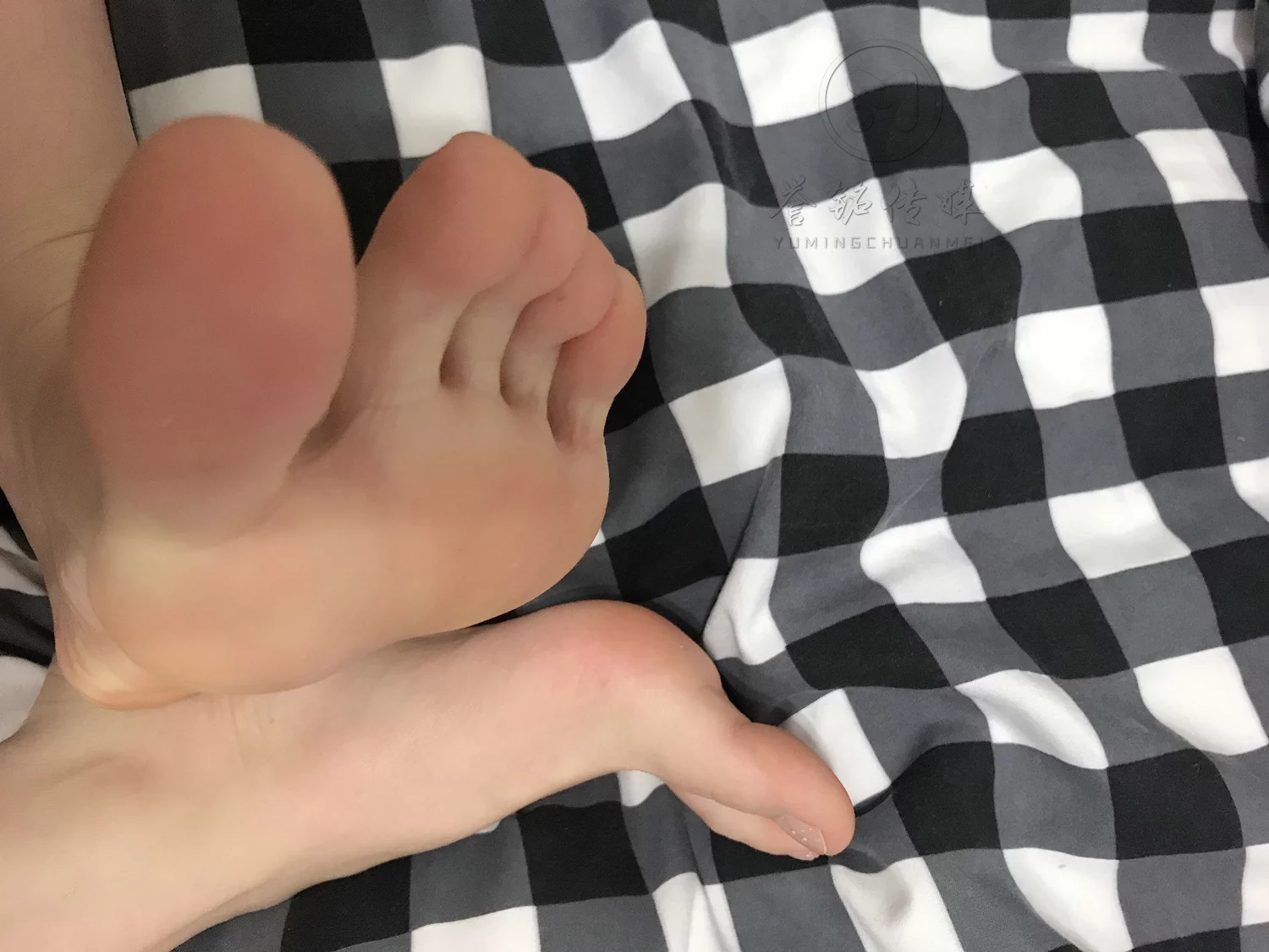 图片[14]-[誉铭传媒]袜足摄影 2019年 NO.022 丝足自拍[123P] – 速更版-美库