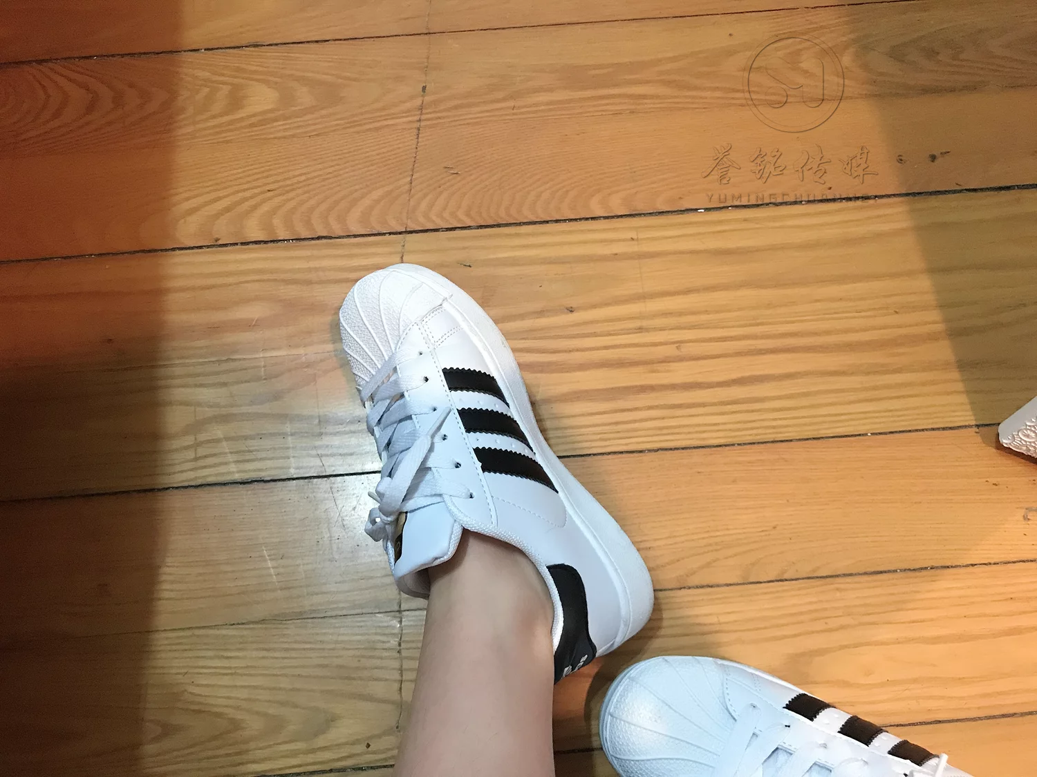 图片[20]-[誉铭传媒]袜足摄影 2019年 NO.022 丝足自拍[123P] – 速更版-美库