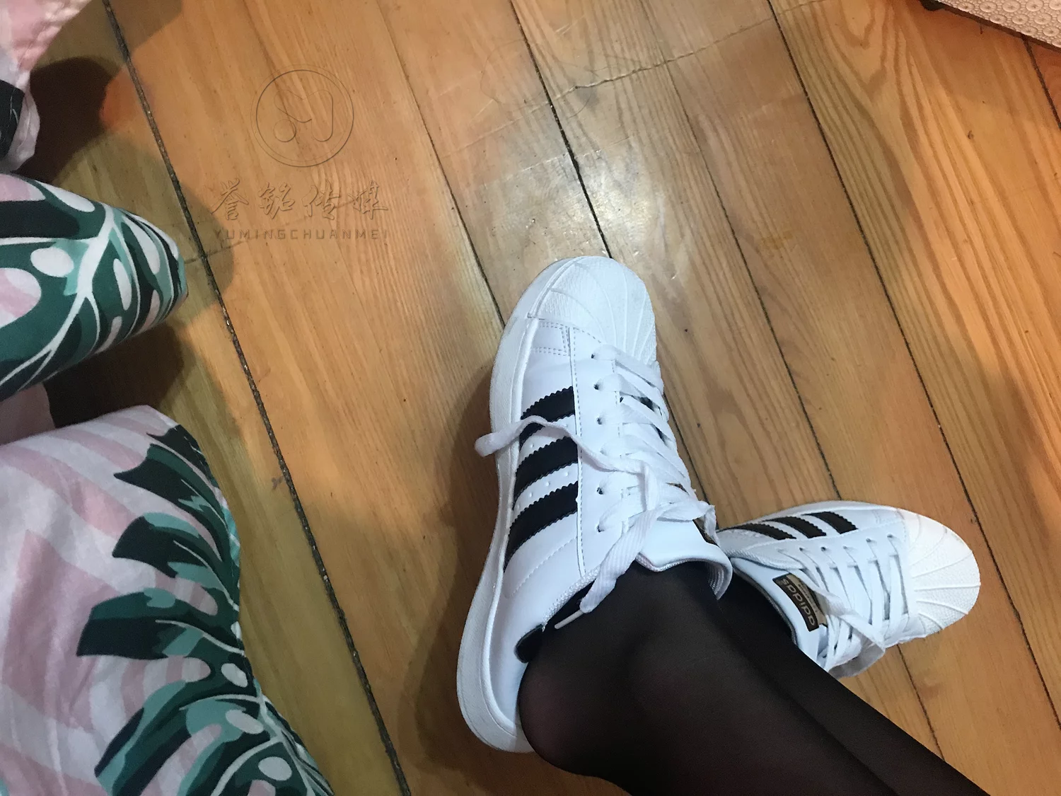 图片[106]-[誉铭传媒]袜足摄影 2019年 NO.022 丝足自拍[123P] – 速更版-美库