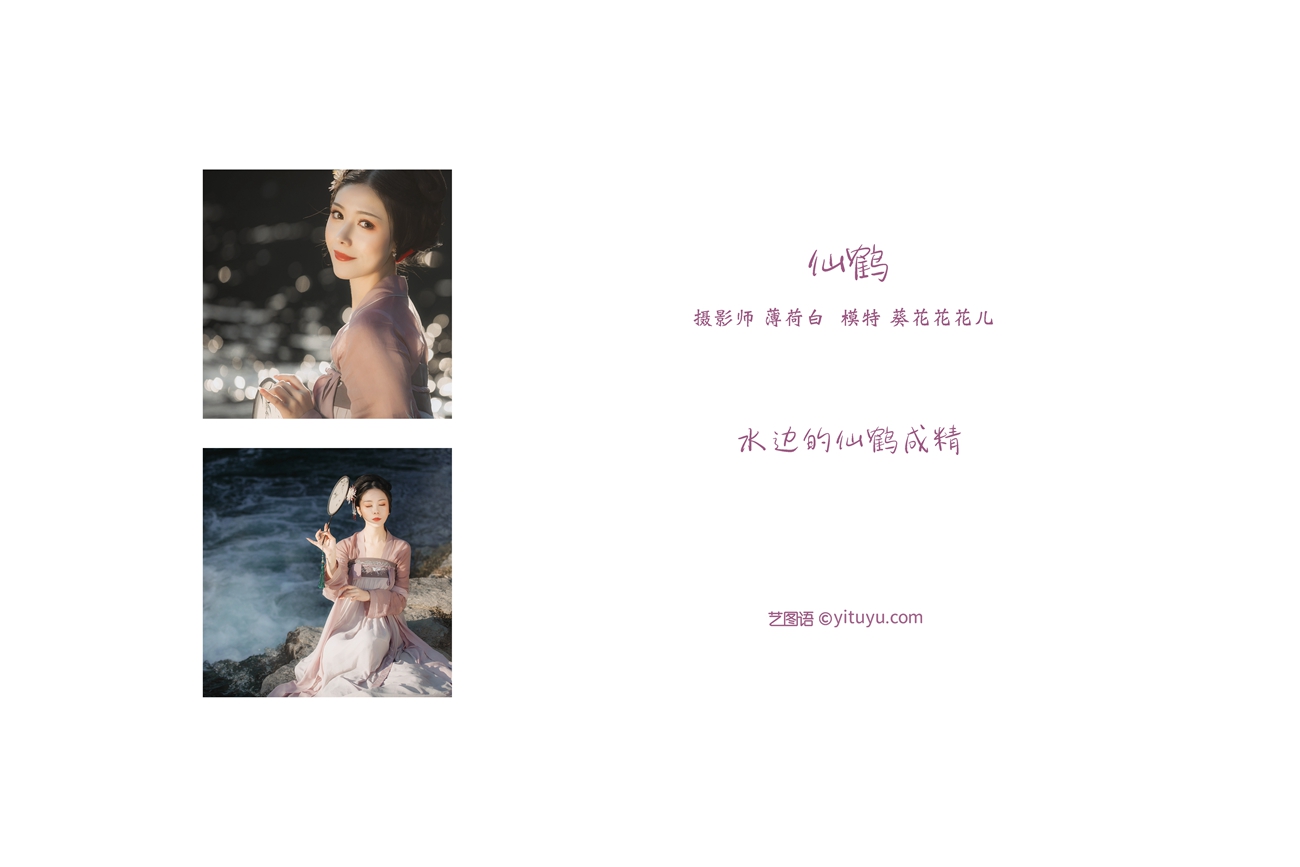 图片[20]-[YITUYU艺图语] 2021.10.26 仙鹤 葵花花花儿 [20P] – 速更版-美库